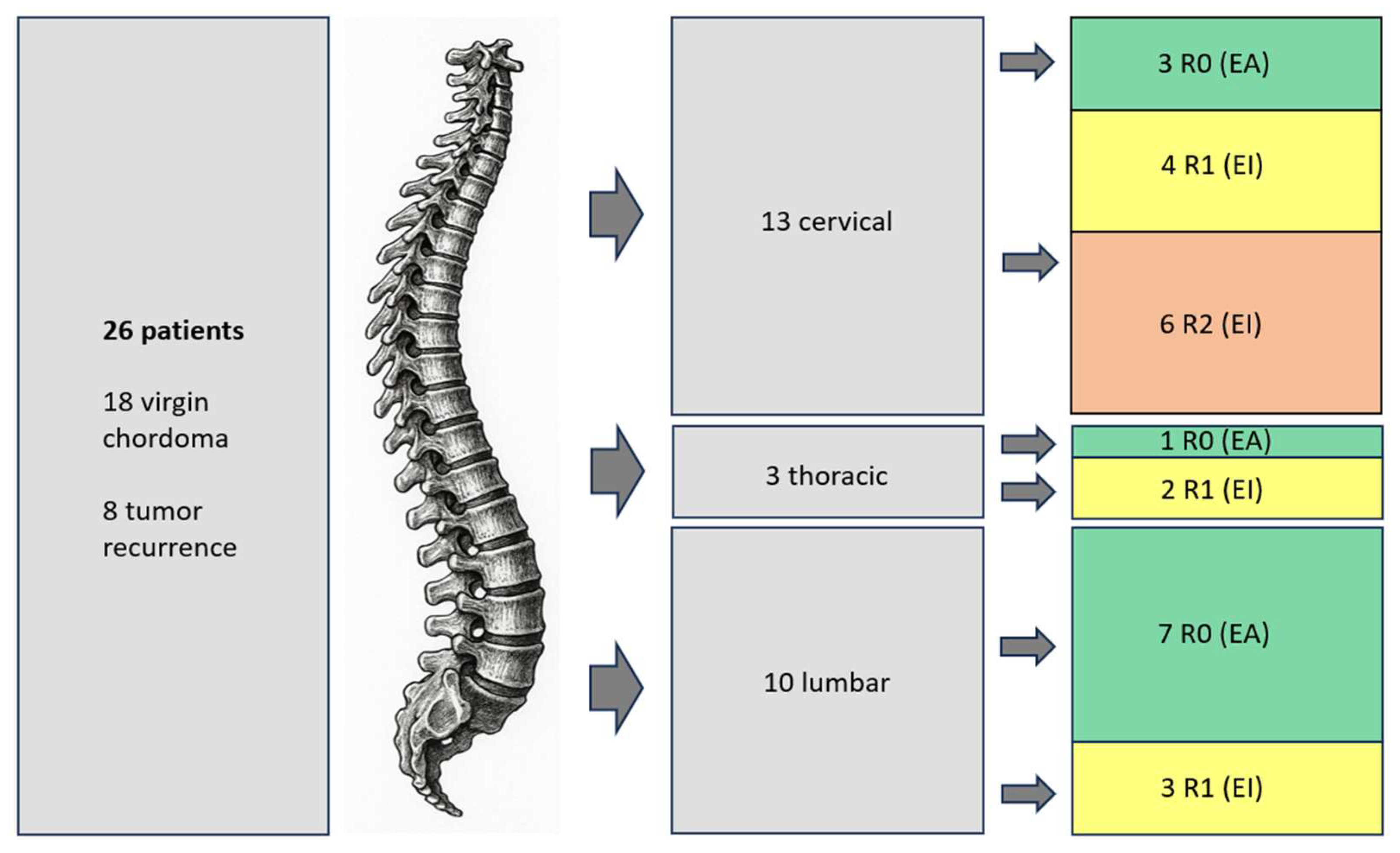 Cancers 17 01989 g001