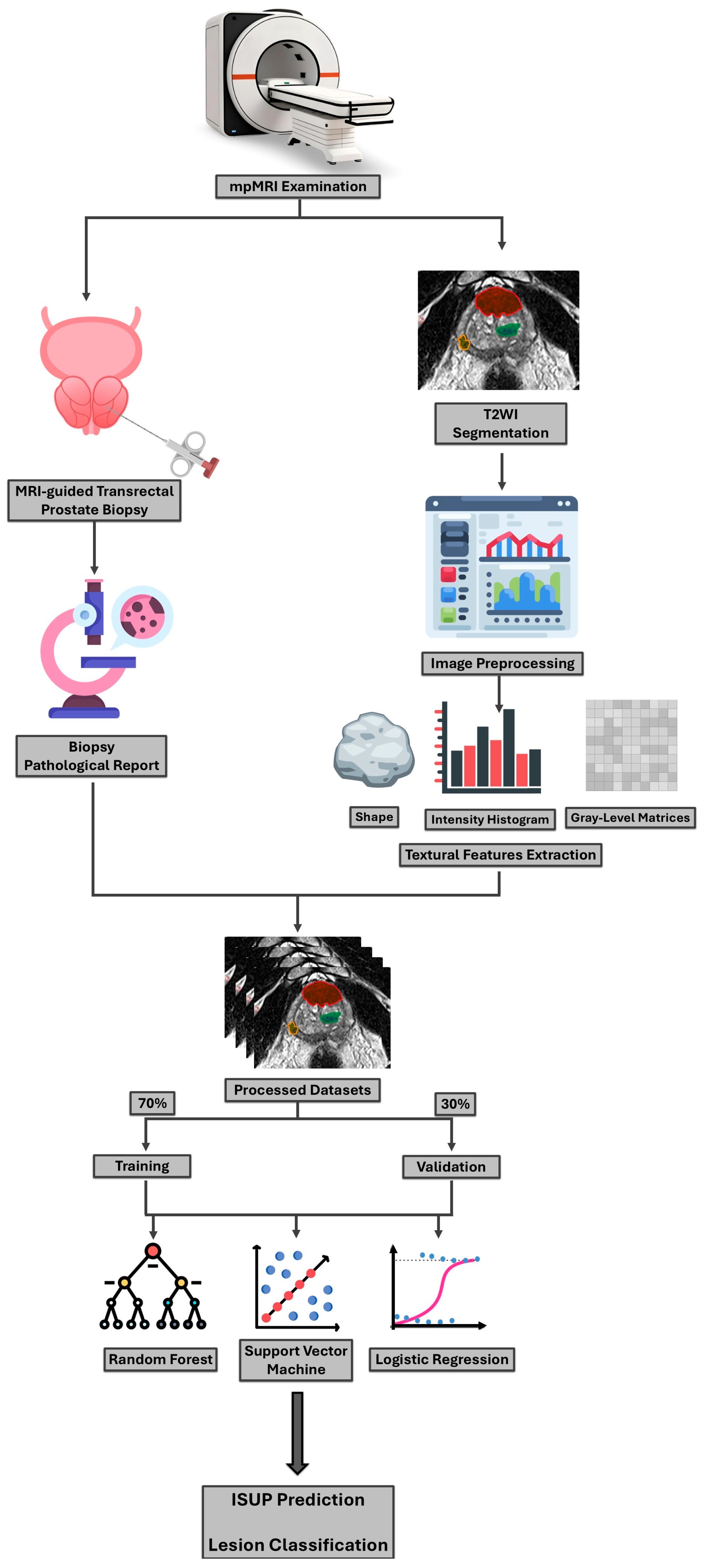 Cancers 17 02035 g002