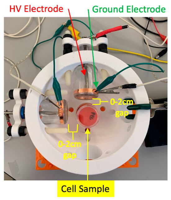 Cancers 17 02036 g001