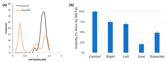 Cancers 17 02036 g007