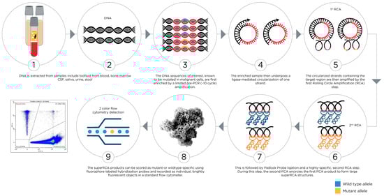 Cancers 17 02045 g005