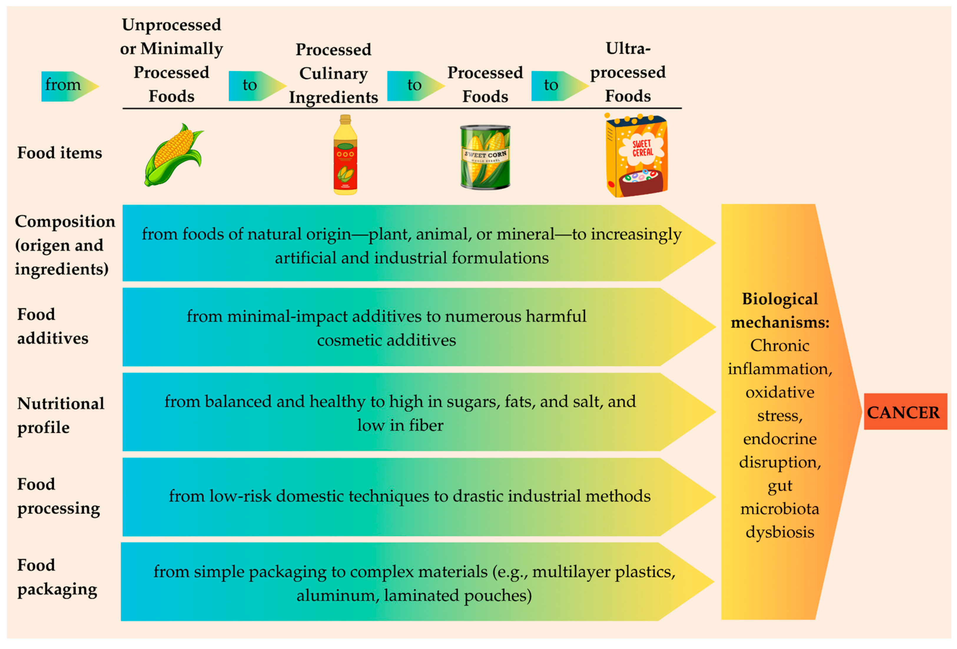 Cancers 17 02064 g002