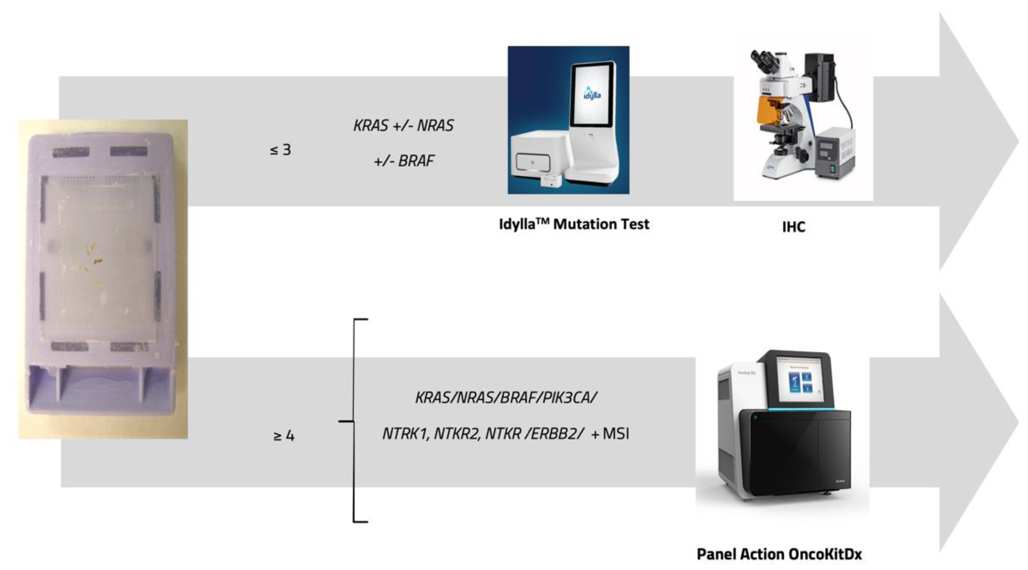 Cancers 17 02071 g006
