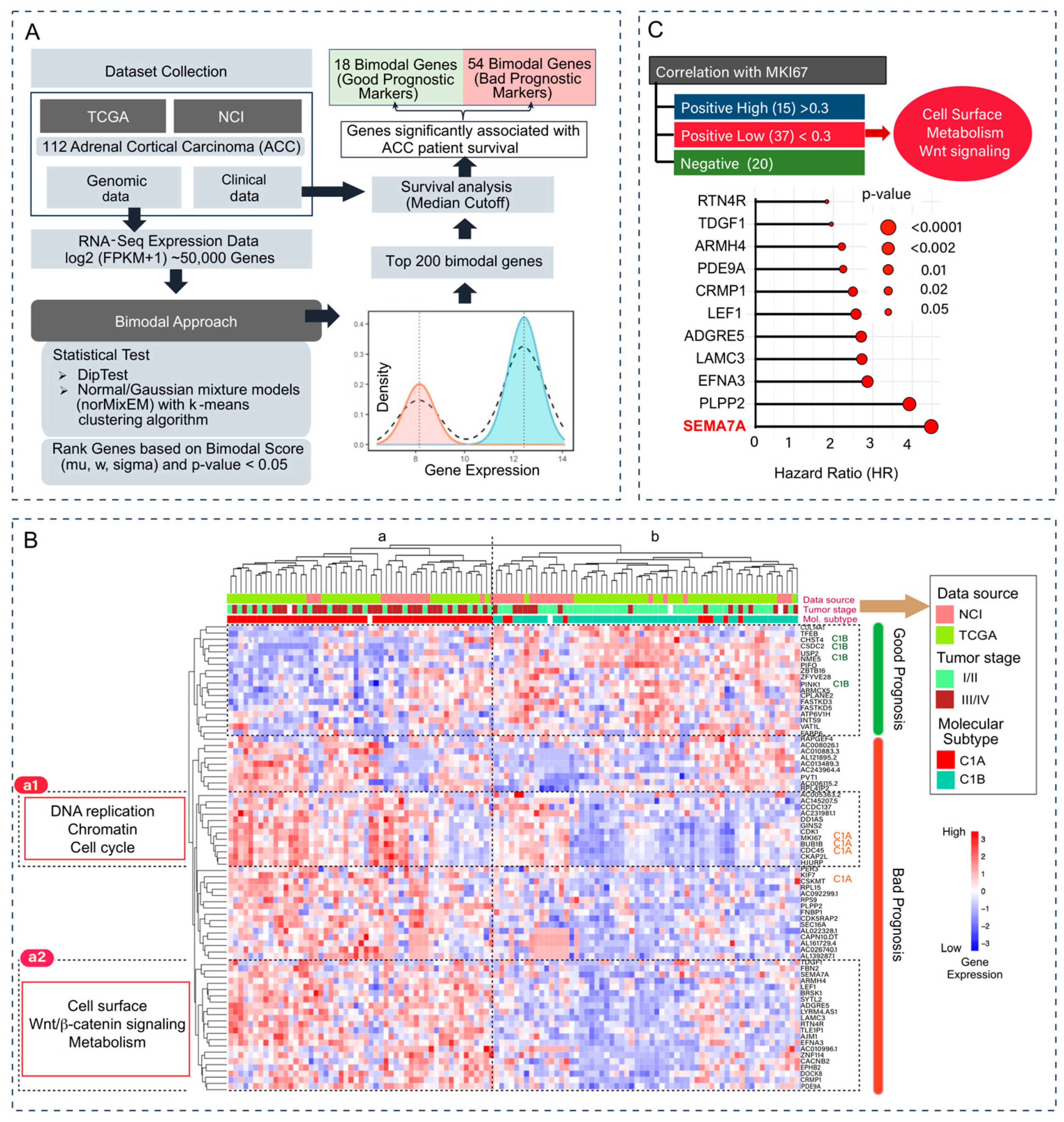 Cancers 17 02078 g001