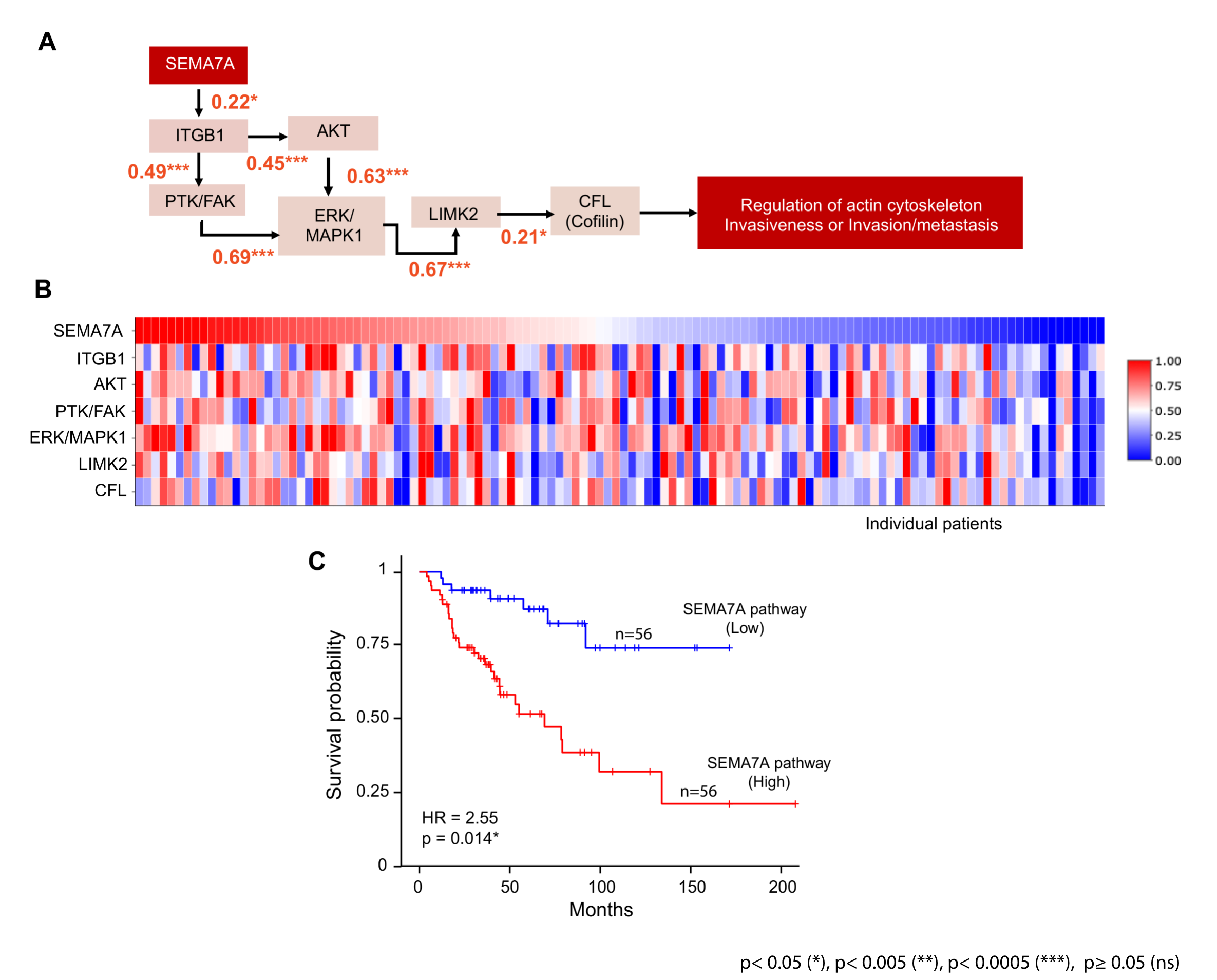 Cancers 17 02078 g003