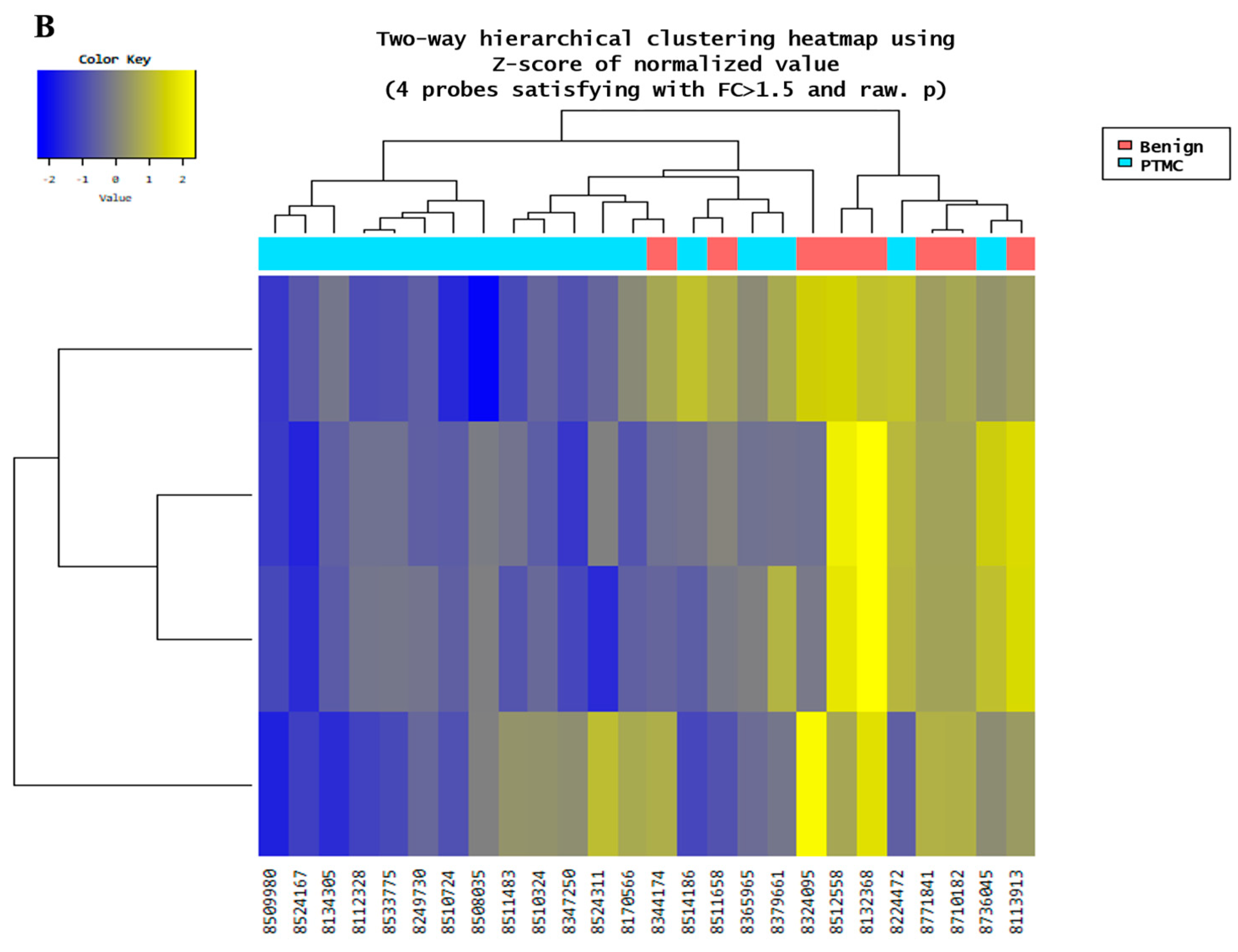 Cancers 17 02079 g002b