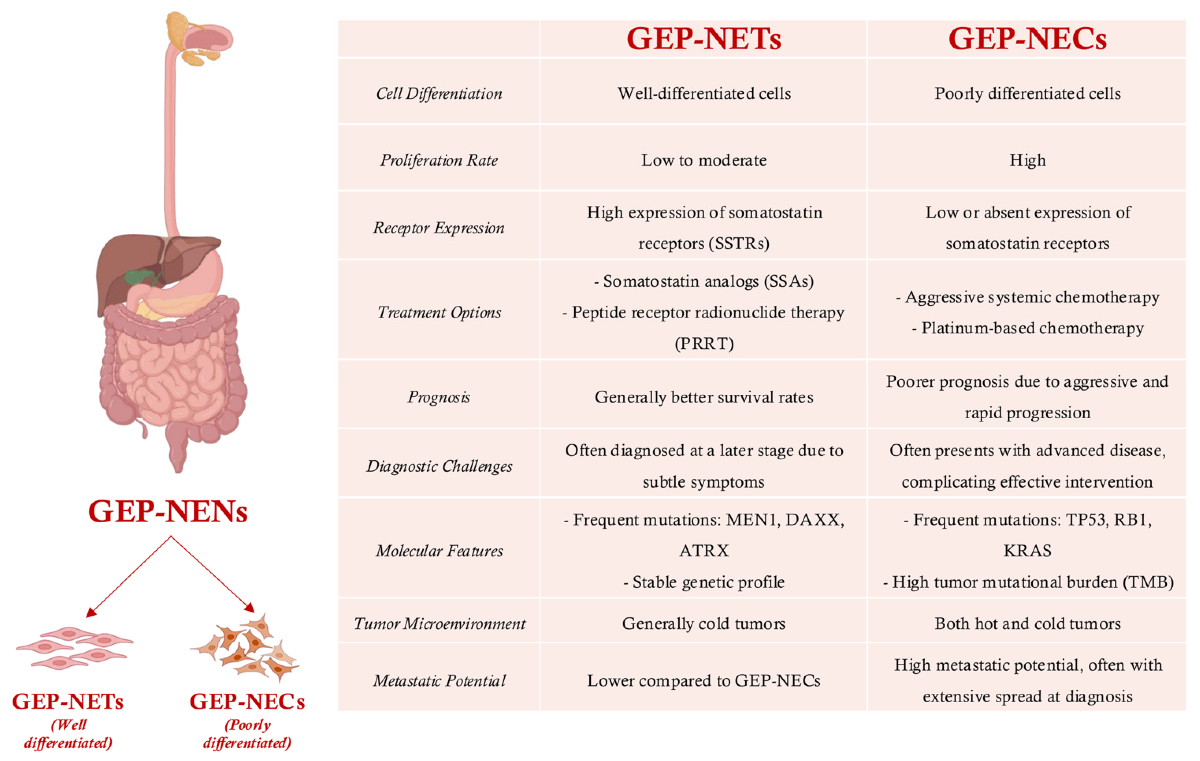 Cancers 17 02080 g001