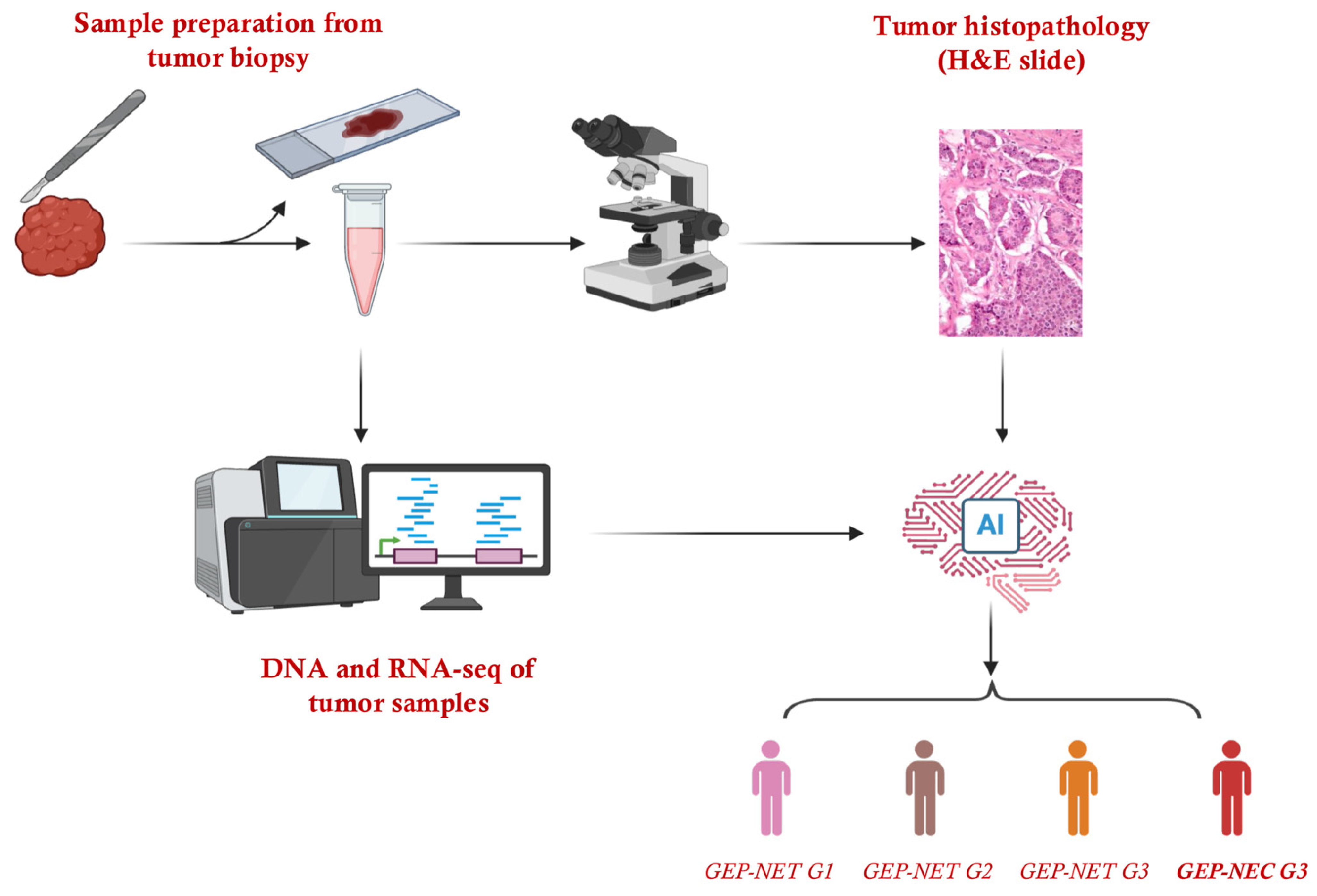 Cancers 17 02080 g002