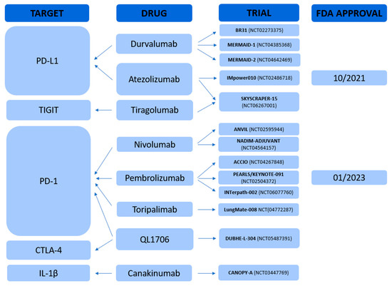 Cancers 17 02099 g001