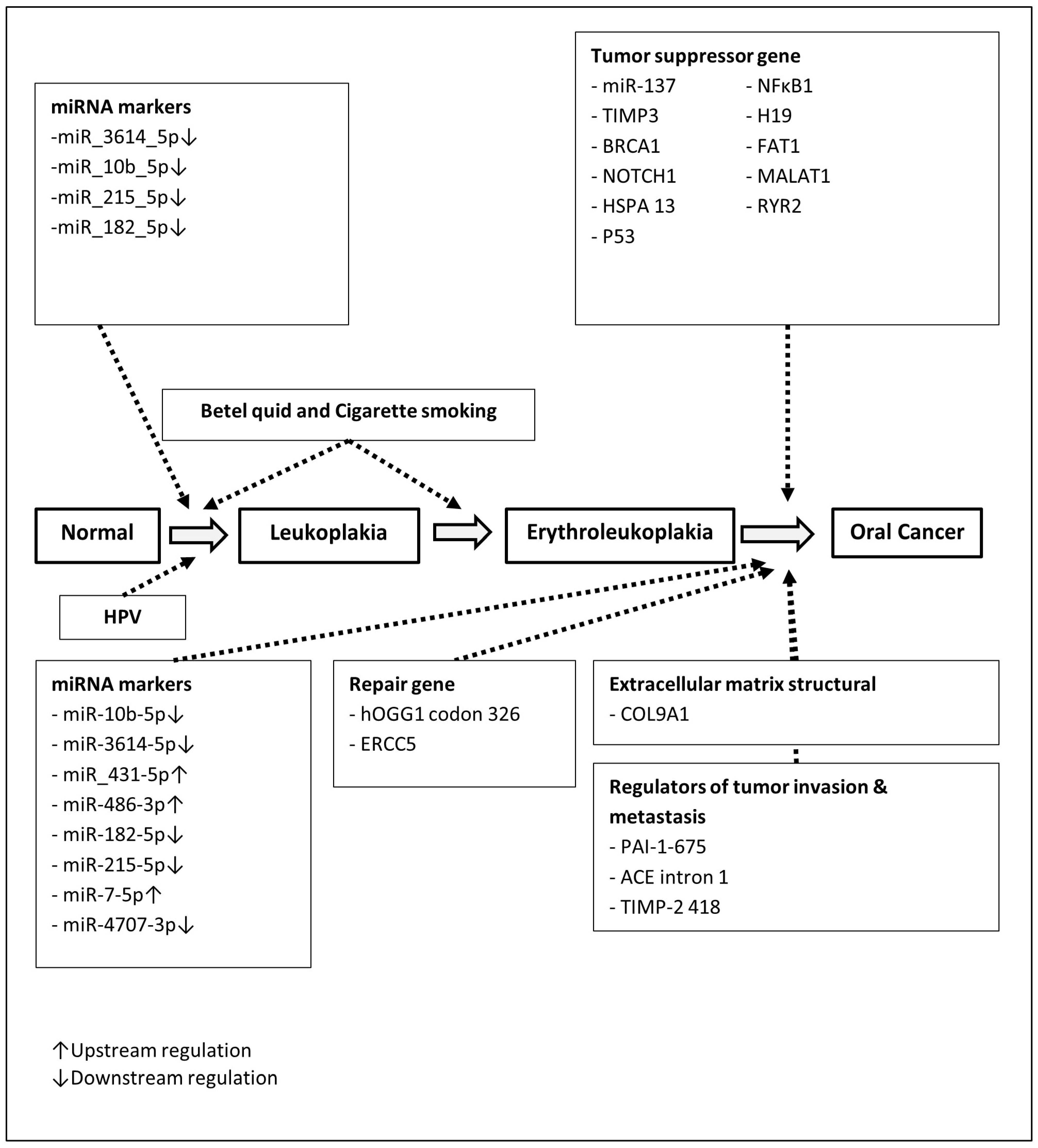 Cancers 17 02114 g001