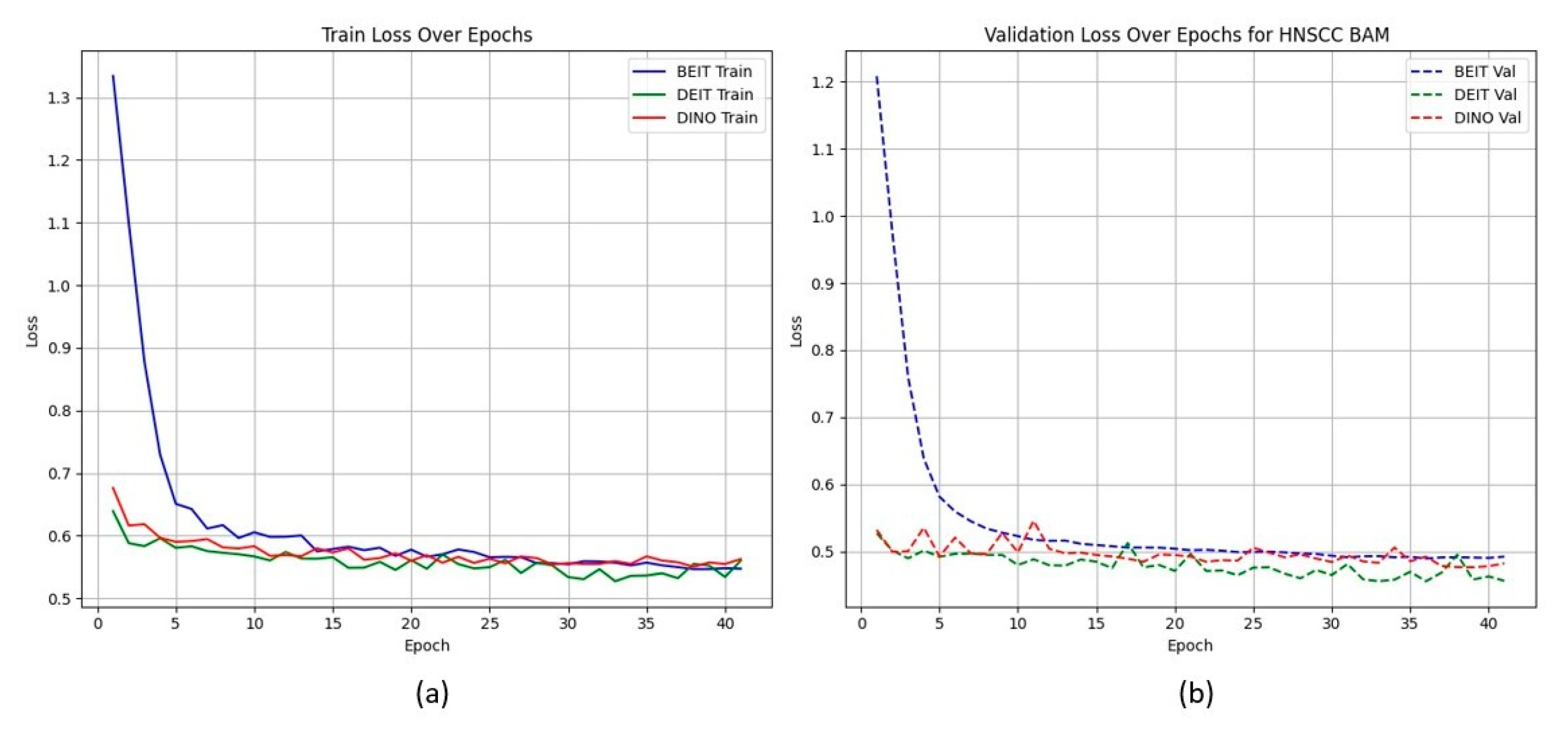 Cancers 17 02115 g003