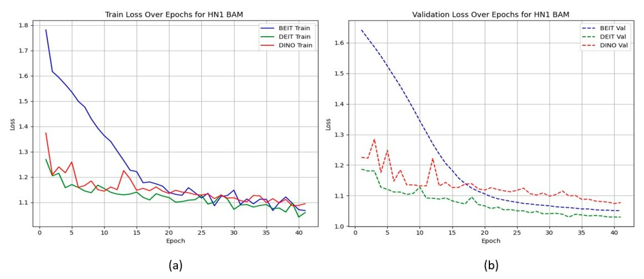 Cancers 17 02115 g005