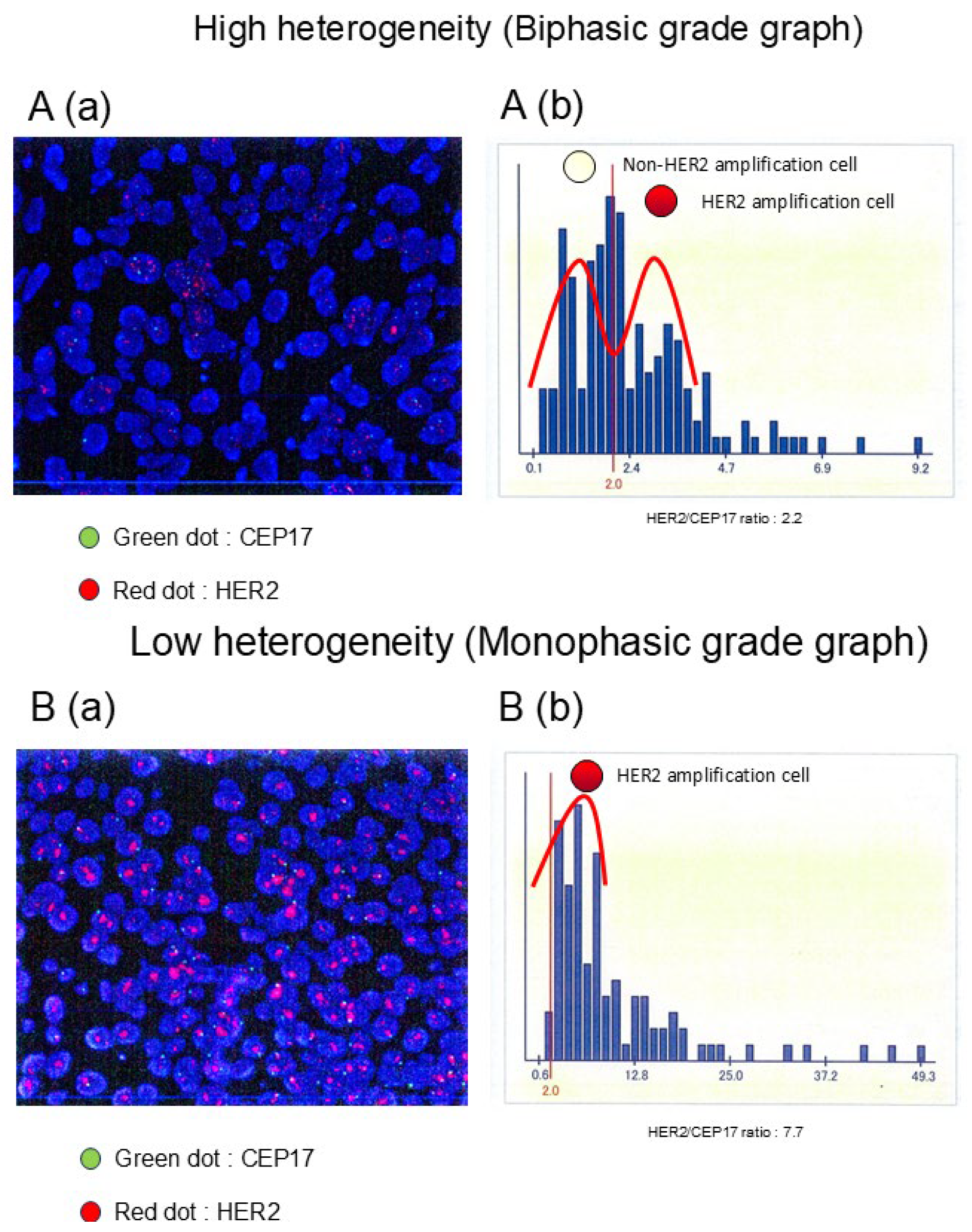 Cancers 17 02126 g001