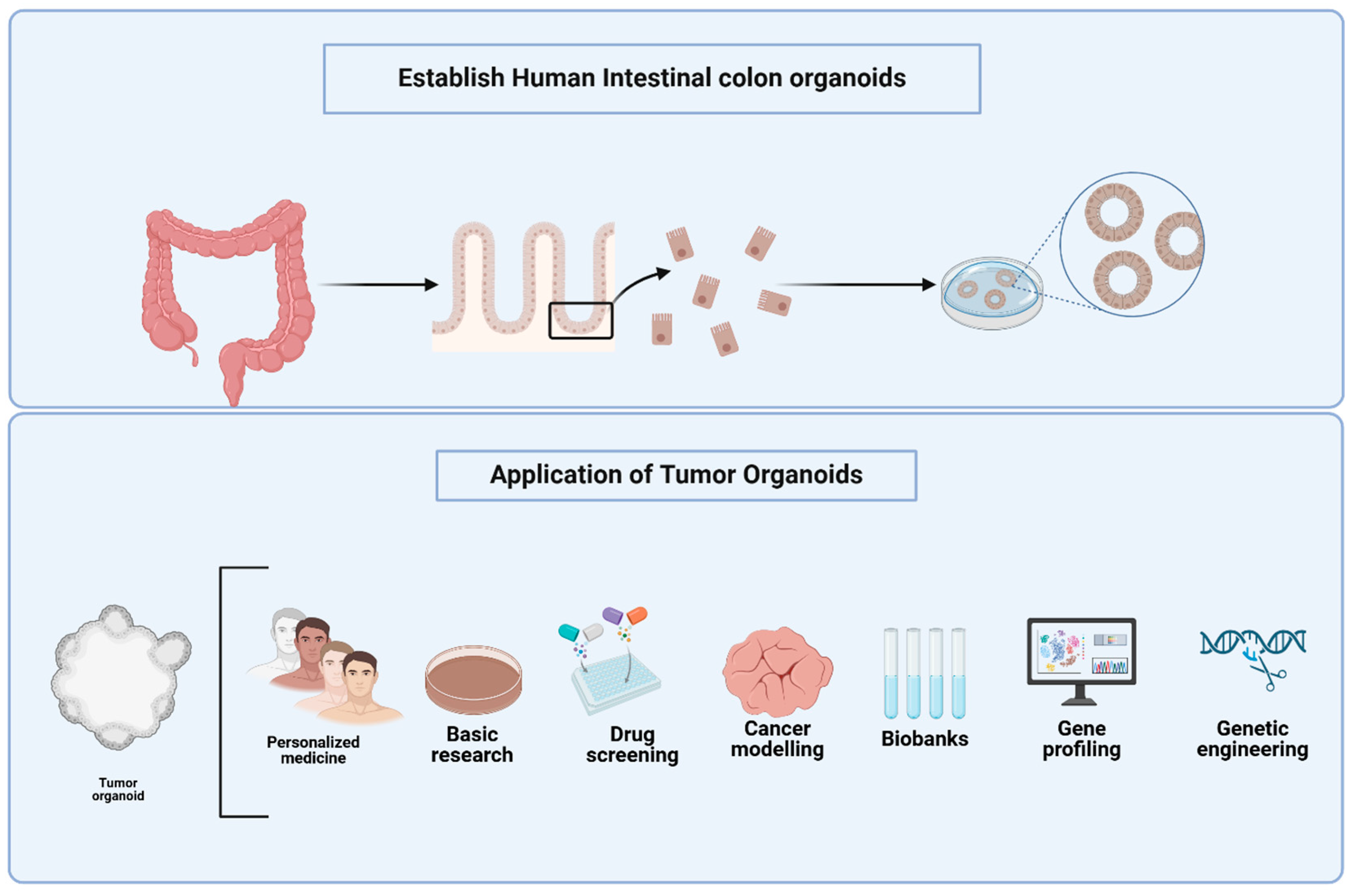 Cancers 17 02129 g001