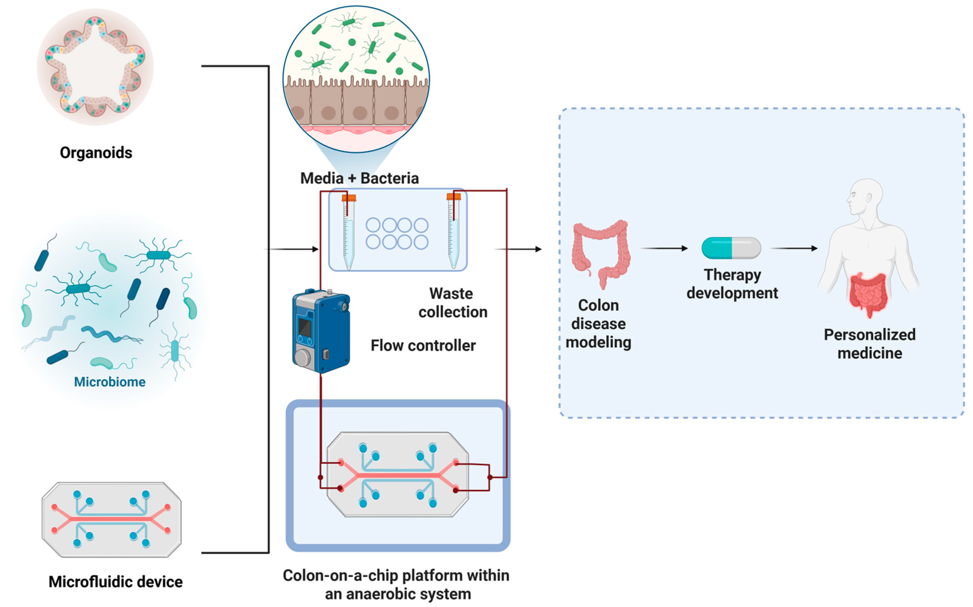 Cancers 17 02129 g002
