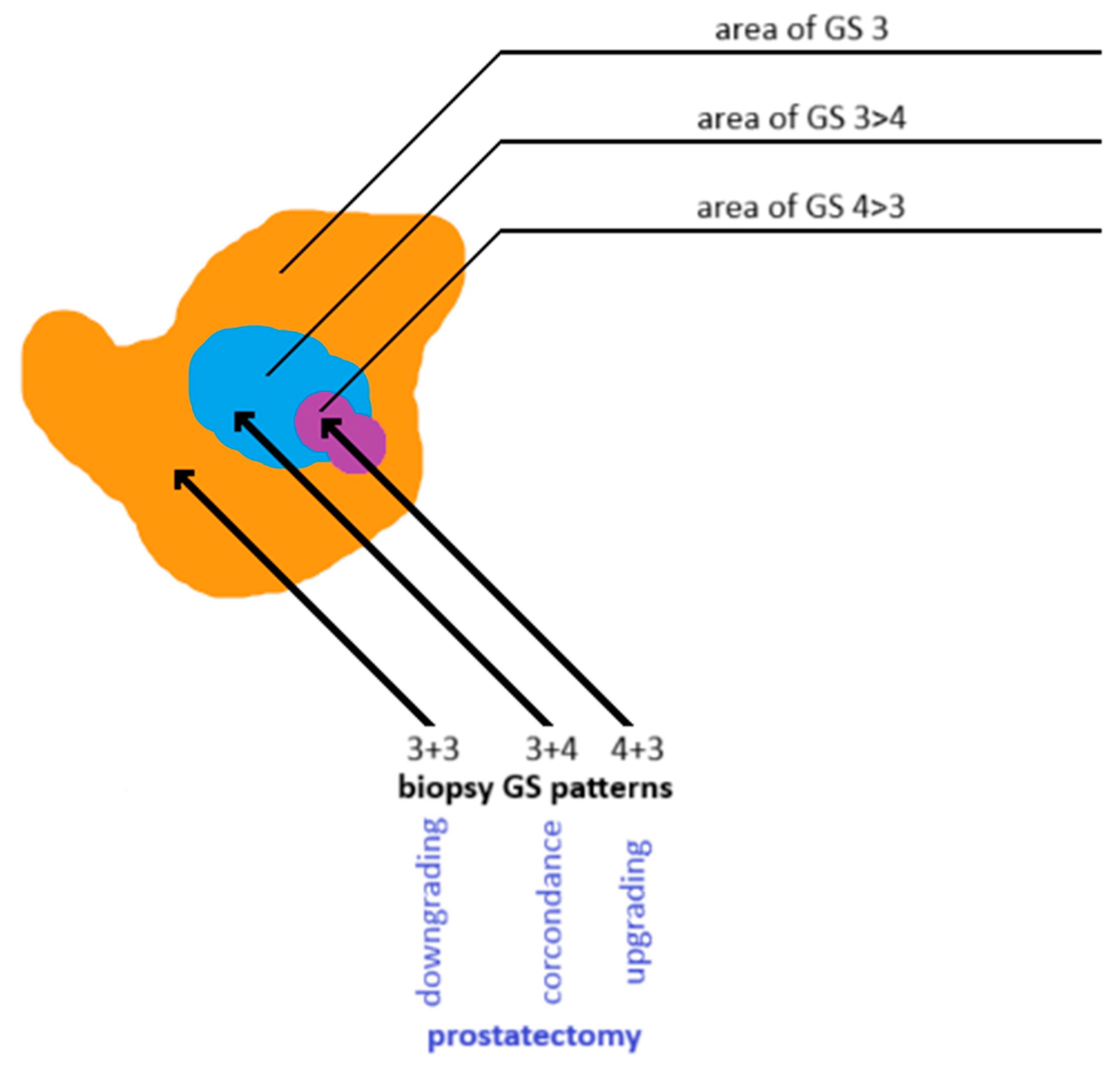 Cancers 17 02137 g007