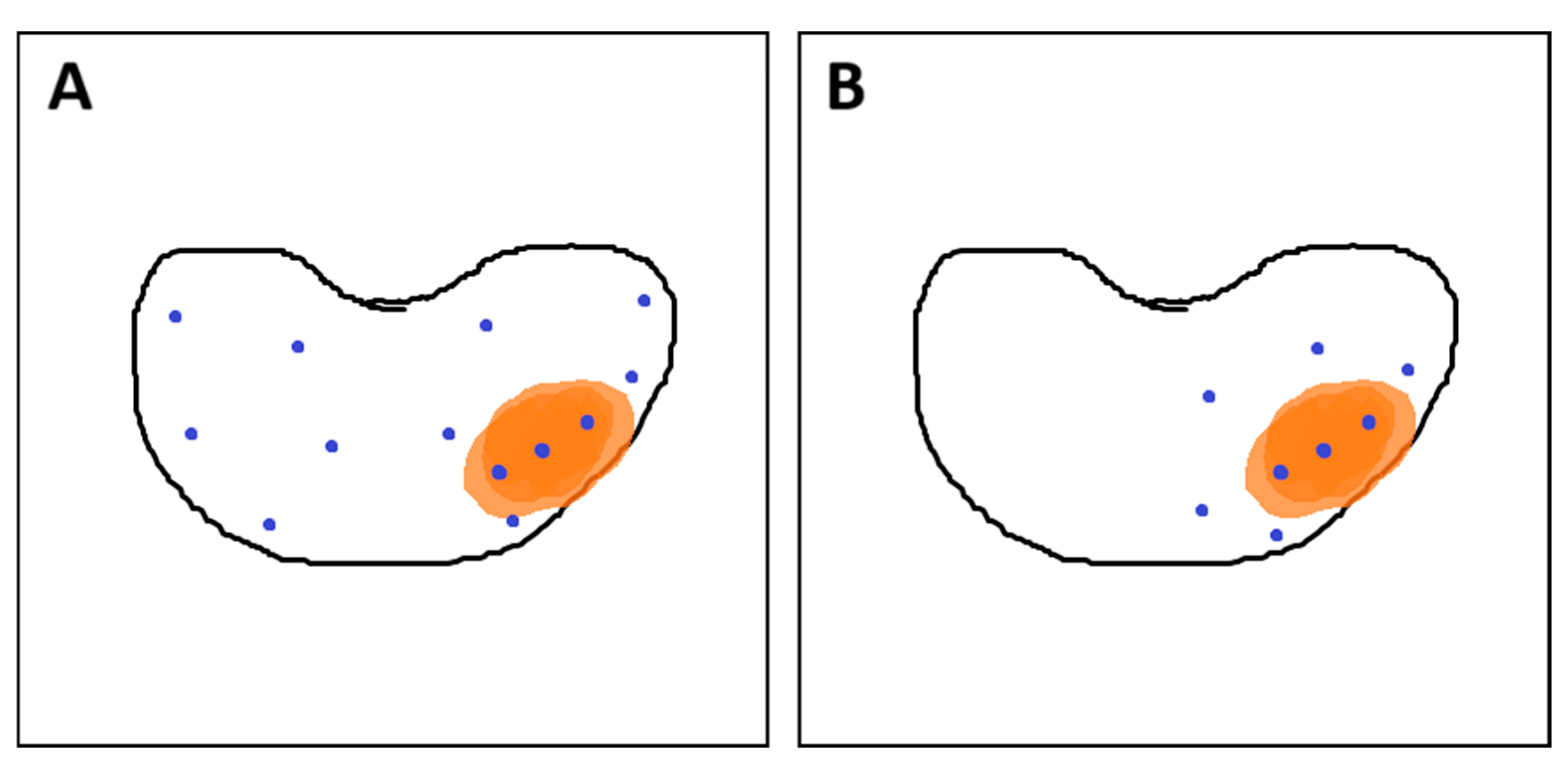 Cancers 17 02137 g008