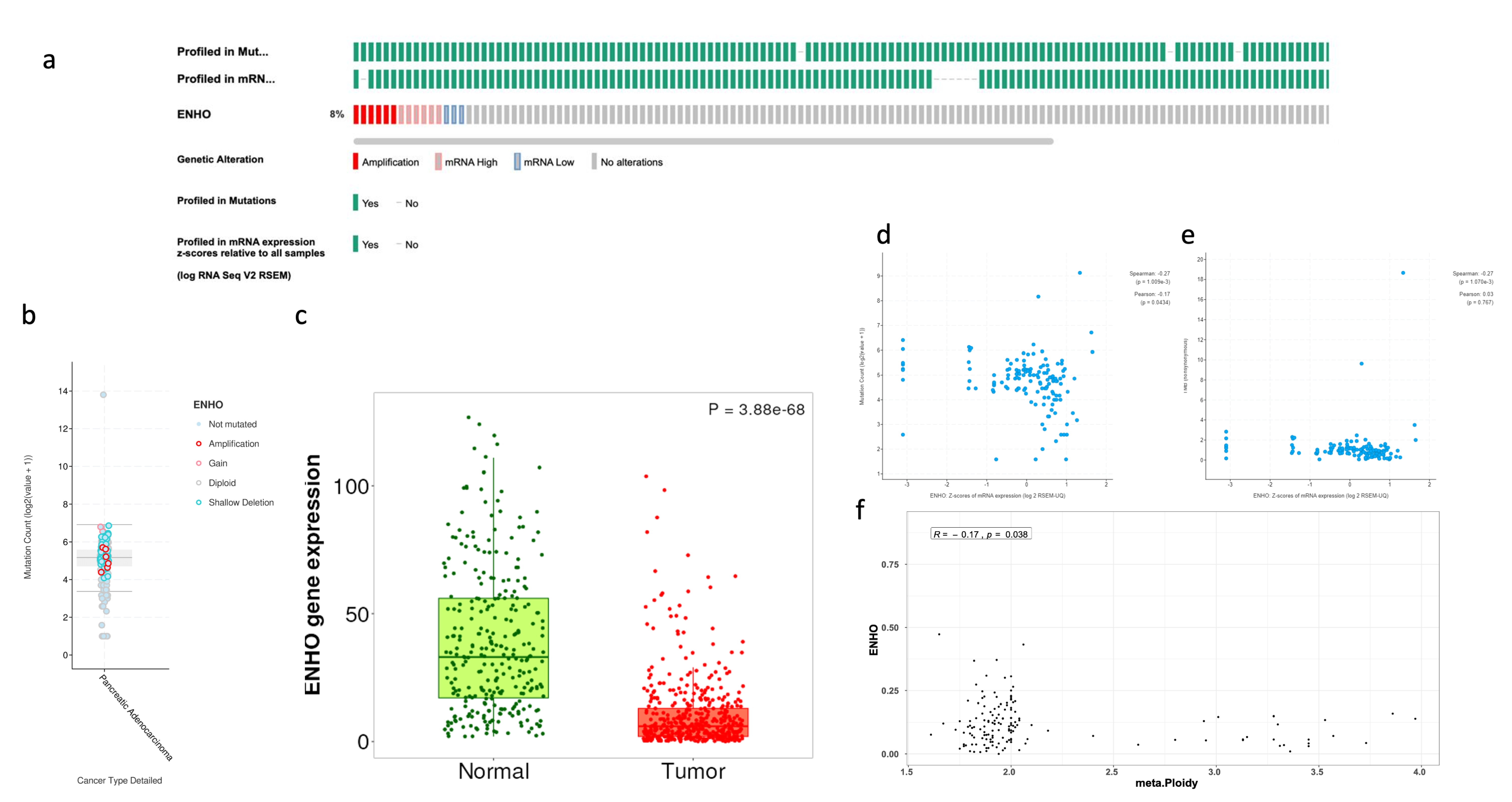 Cancers 17 02139 g001