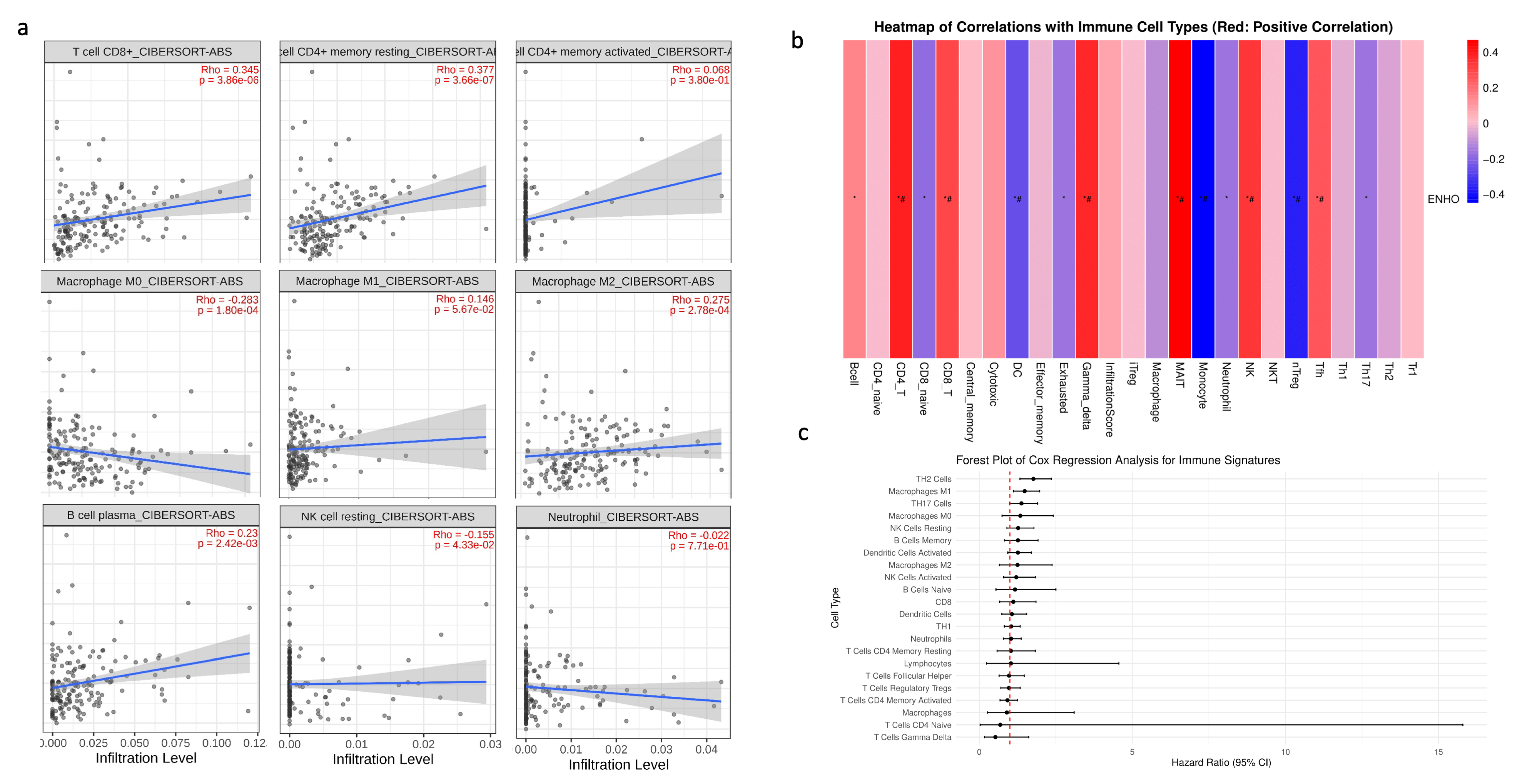 Cancers 17 02139 g004