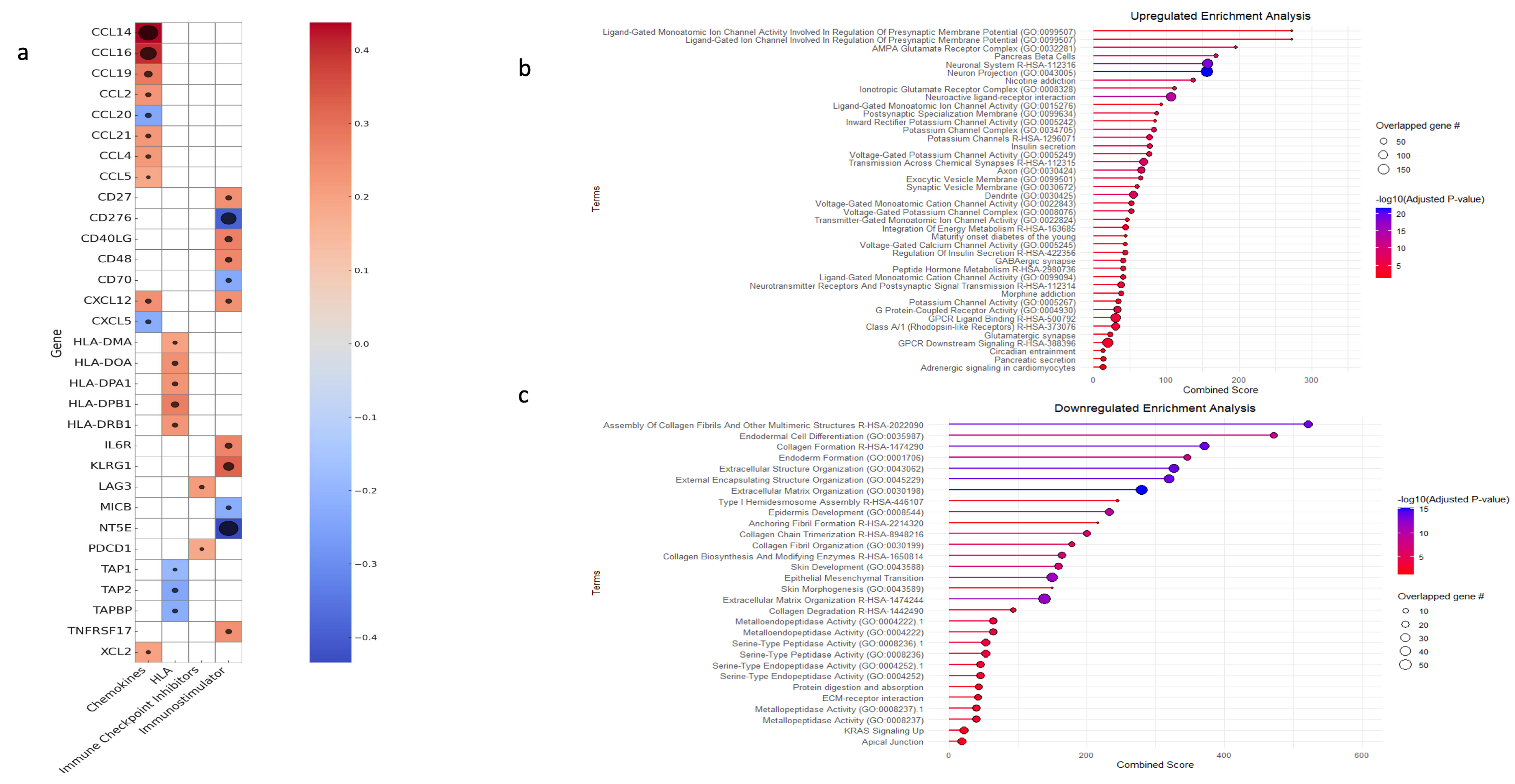 Cancers 17 02139 g005