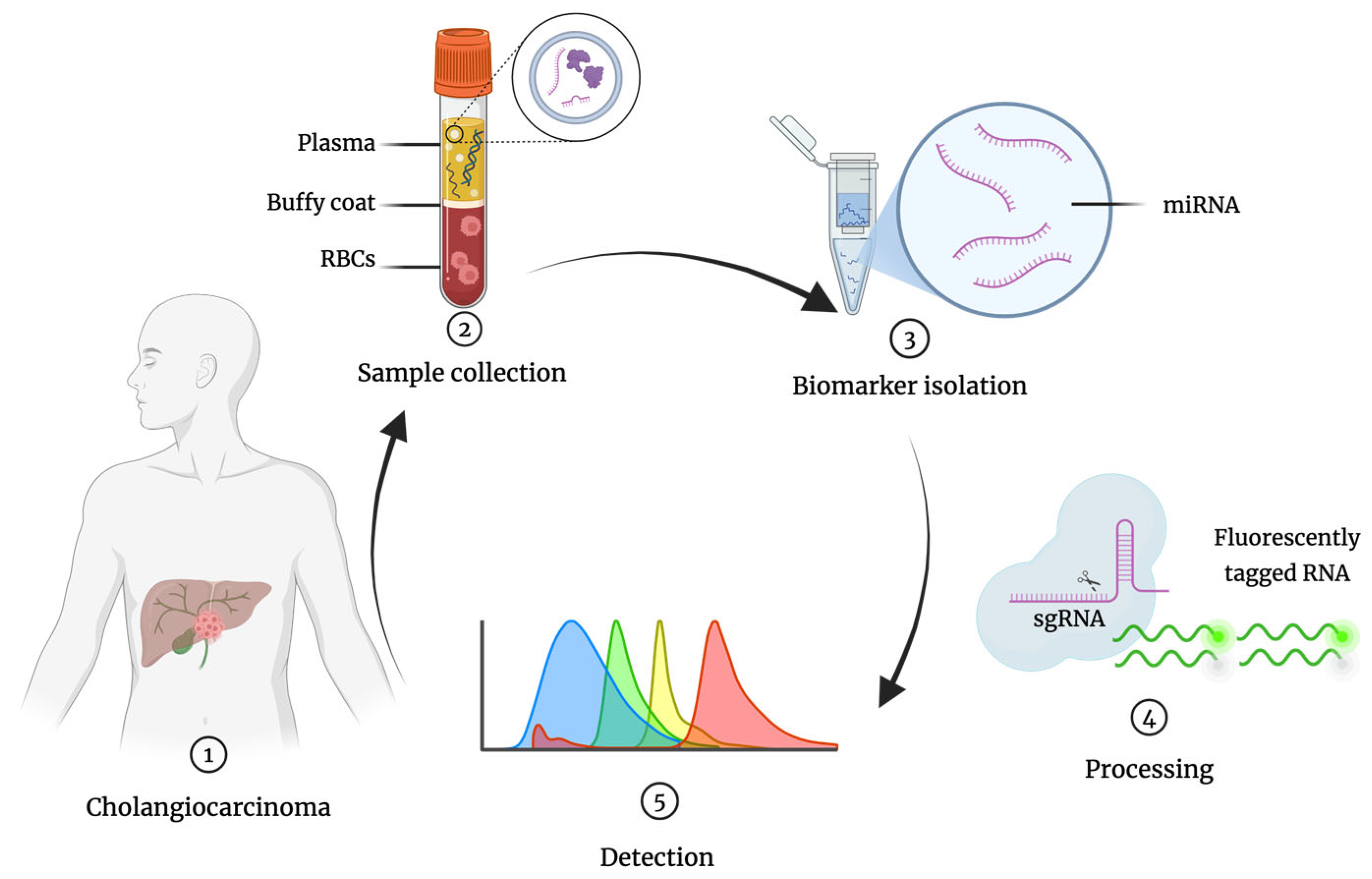 Cancers 17 02155 g001