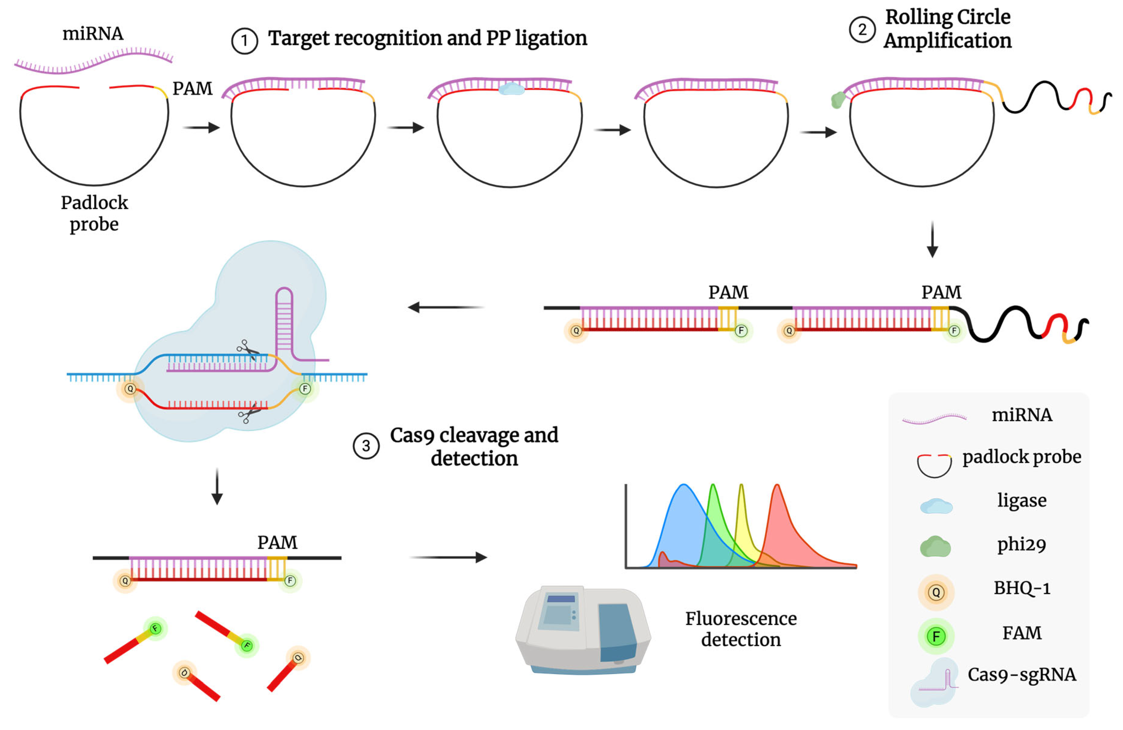 Cancers 17 02155 g003