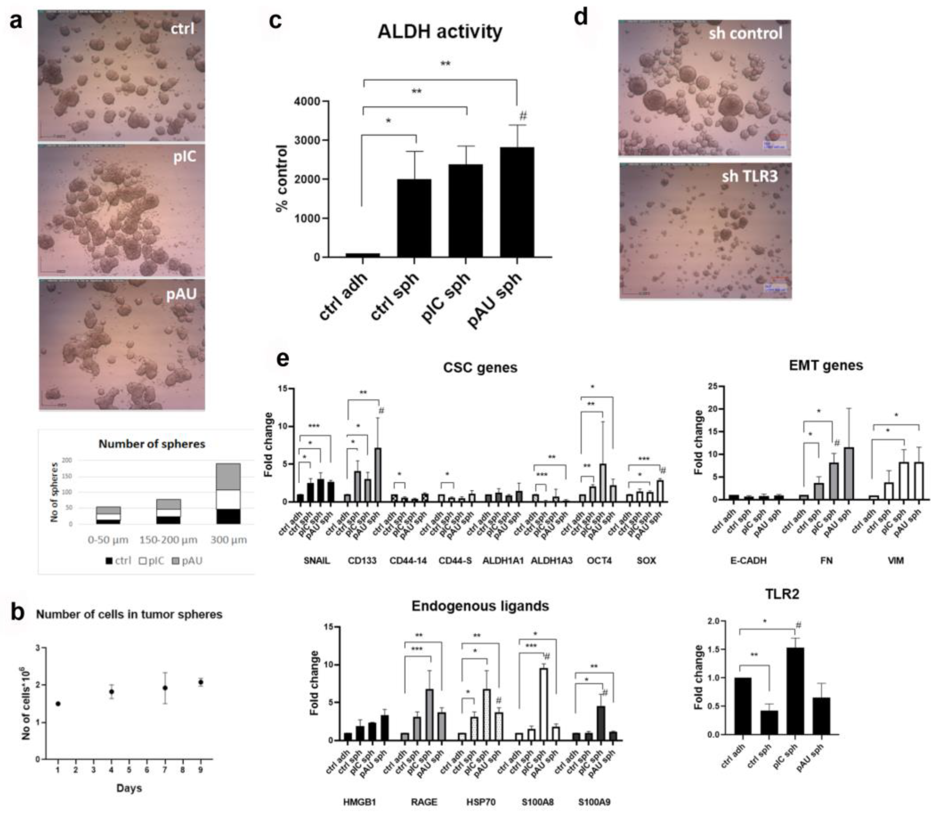 Cancers 17 02157 g001