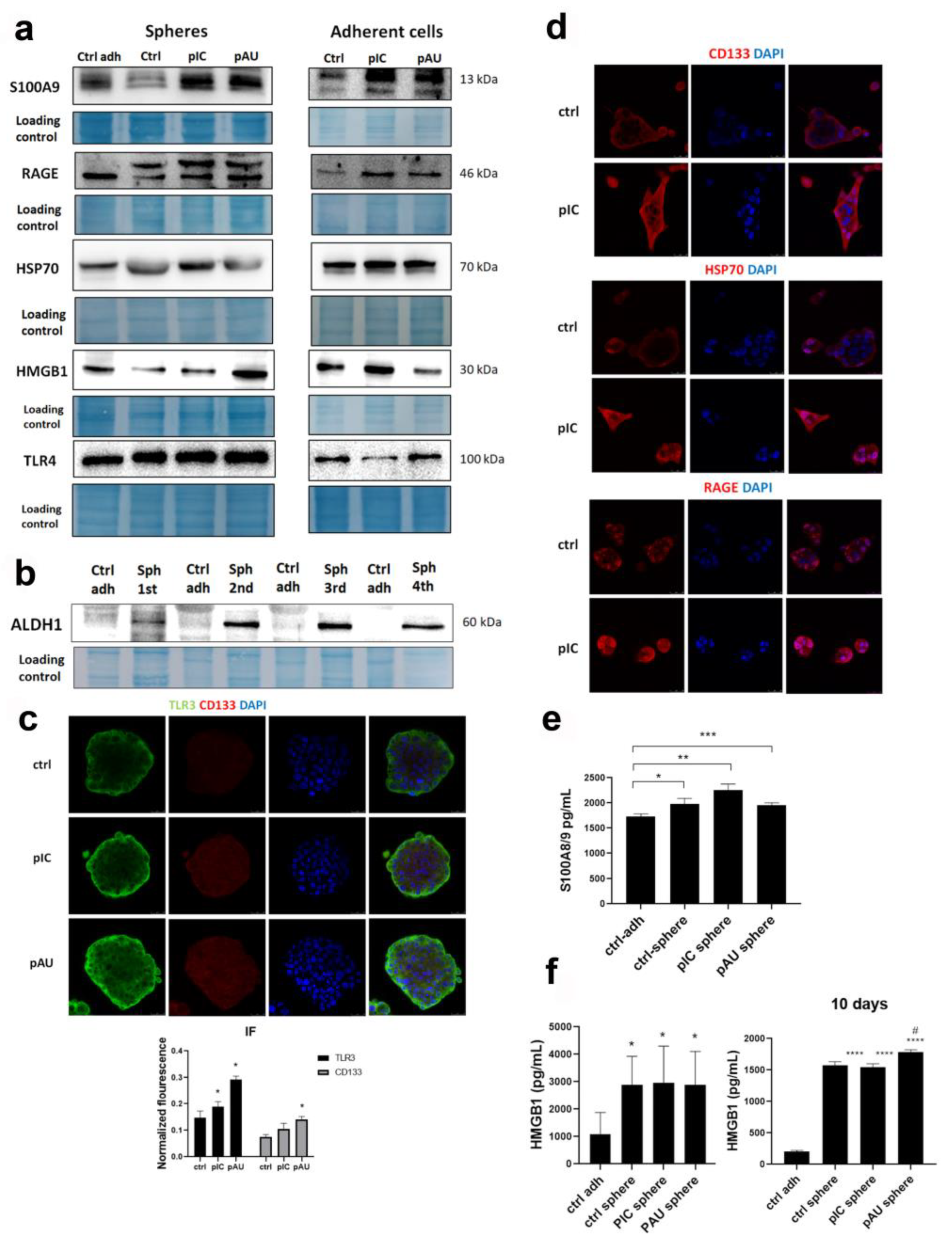 Cancers 17 02157 g002