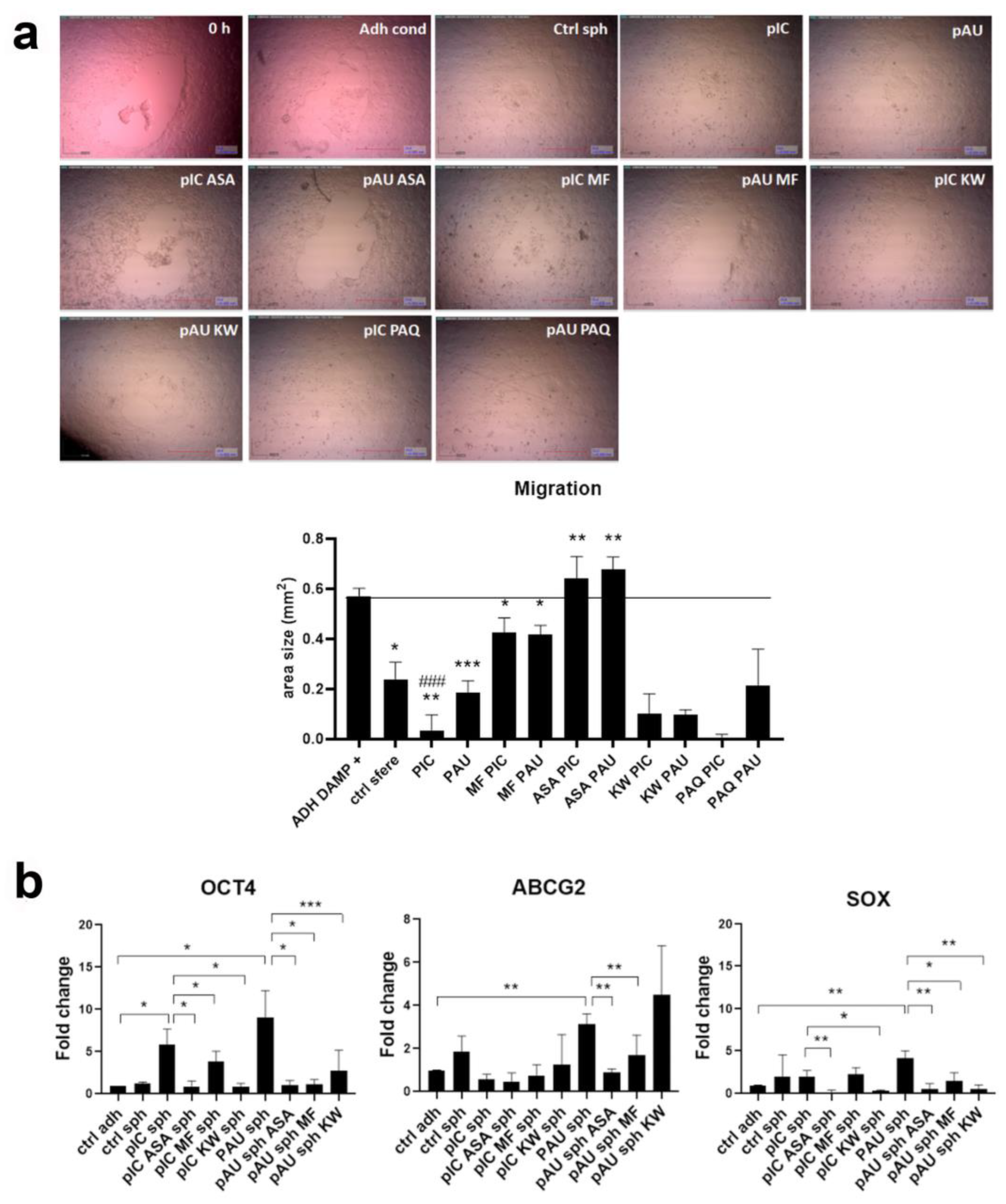 Cancers 17 02157 g003