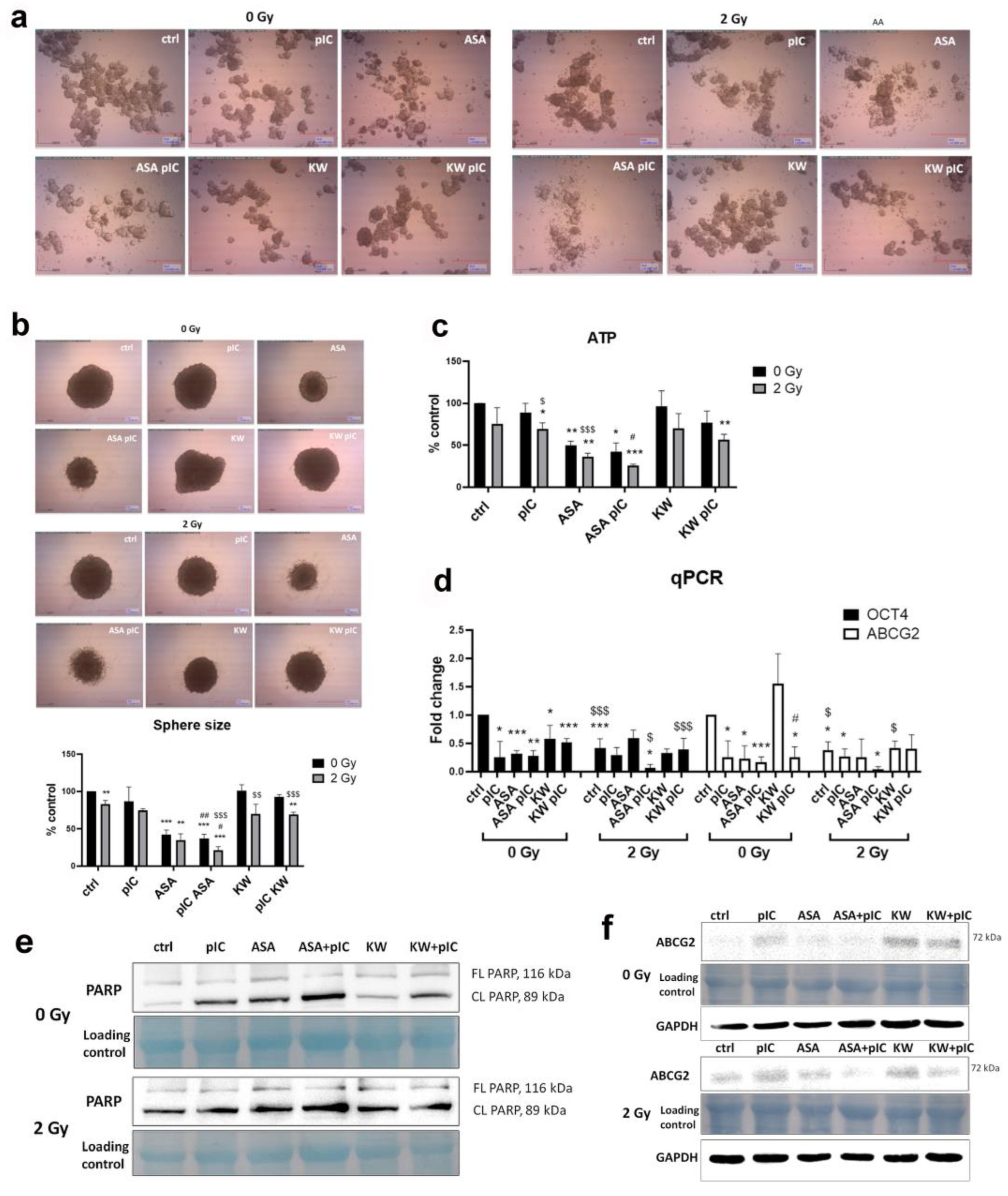 Cancers 17 02157 g006