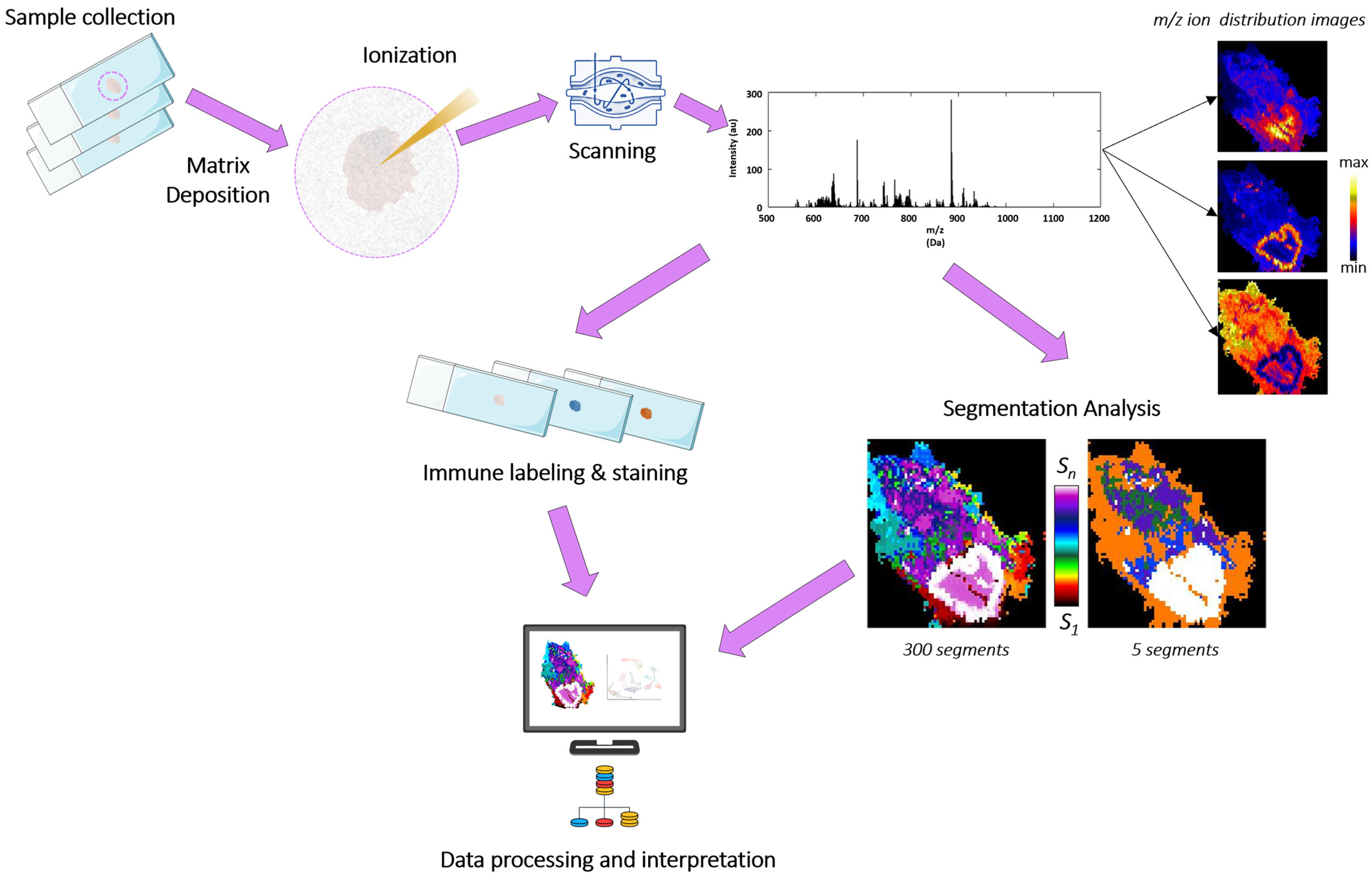 Cancers 17 02160 g001 Cancers 17 02160 g001