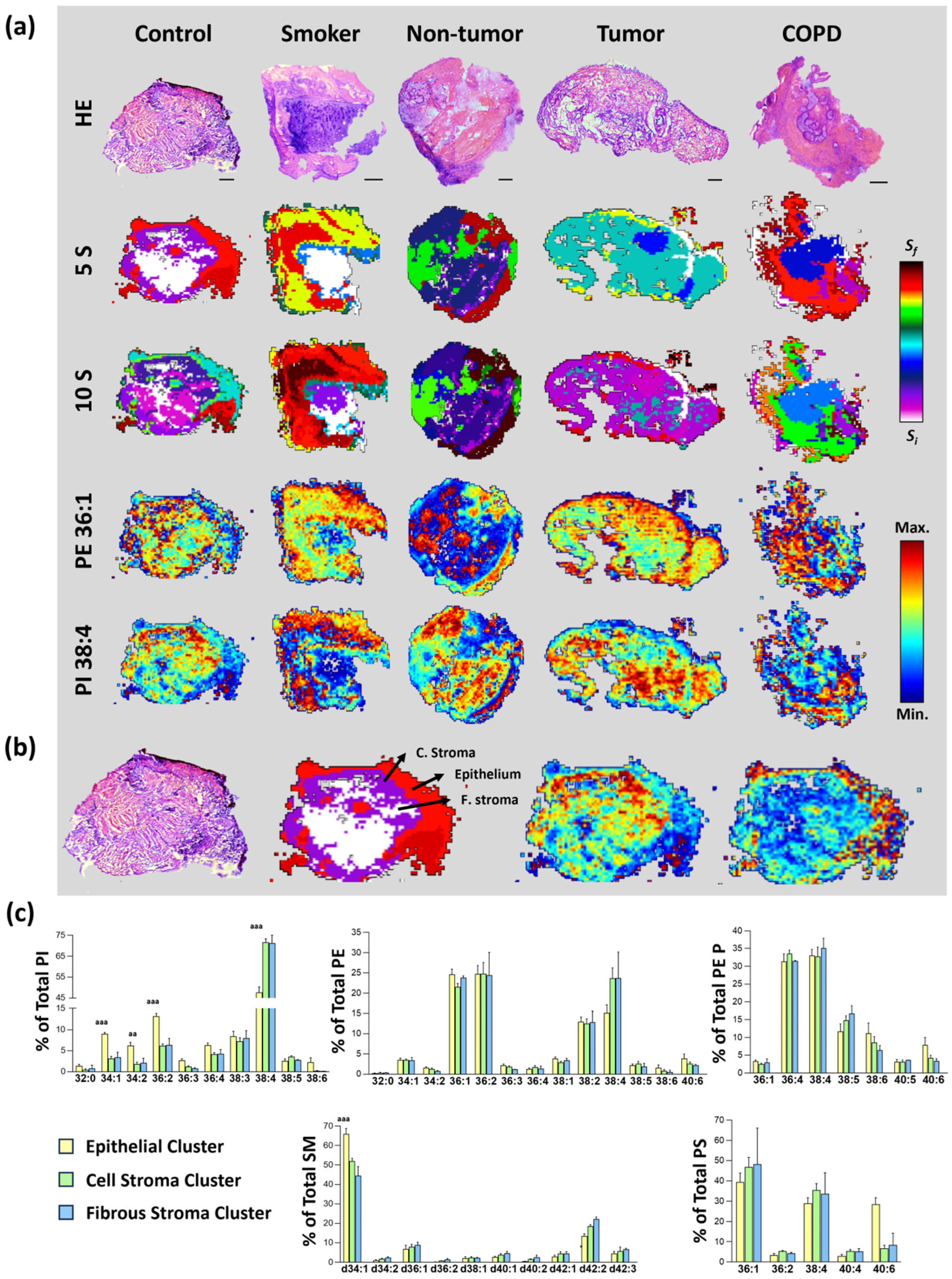 Cancers 17 02160 g002 Cancers 17 02160 g002