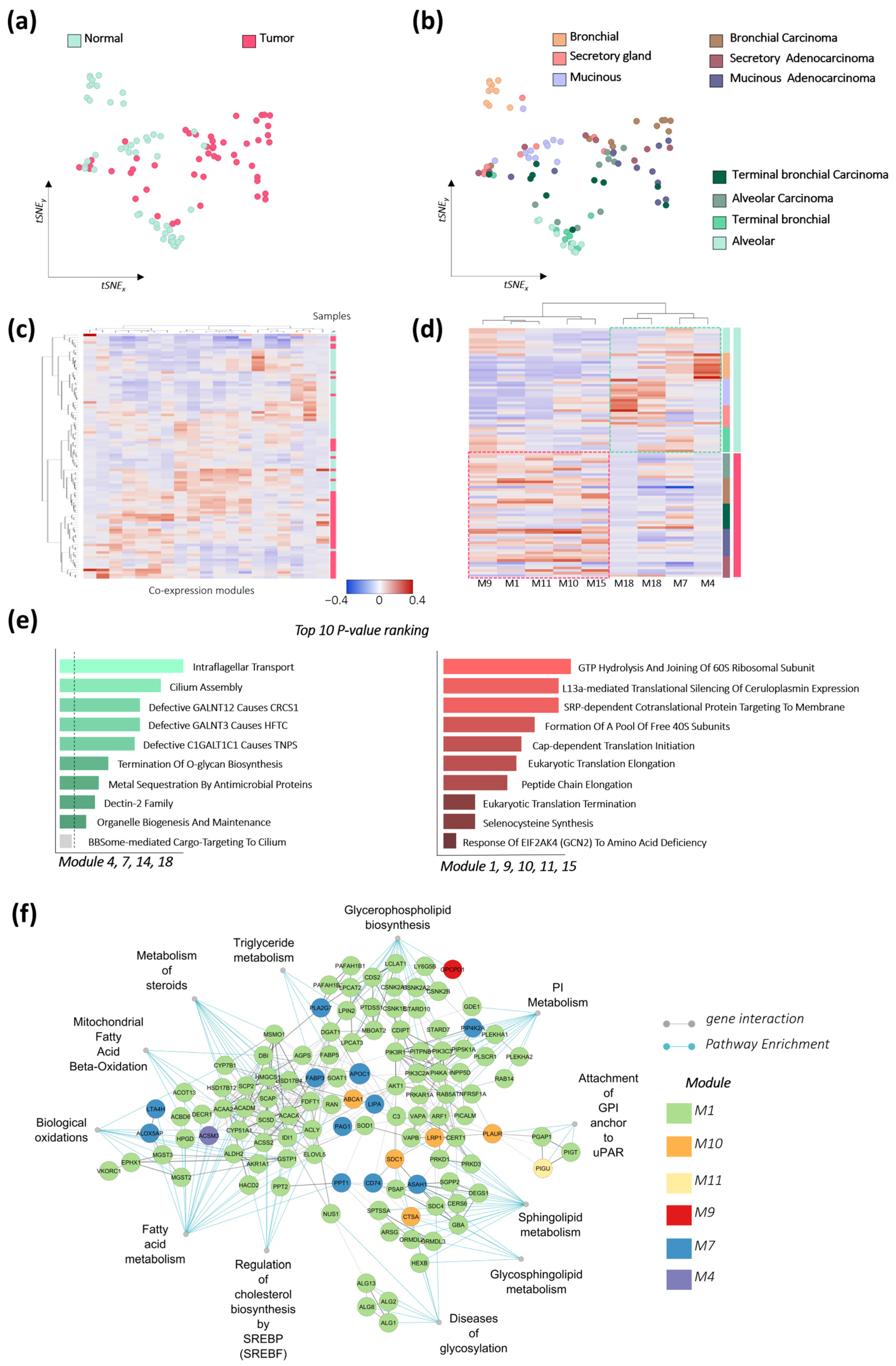 Cancers 17 02160 g006 Cancers 17 02160 g006