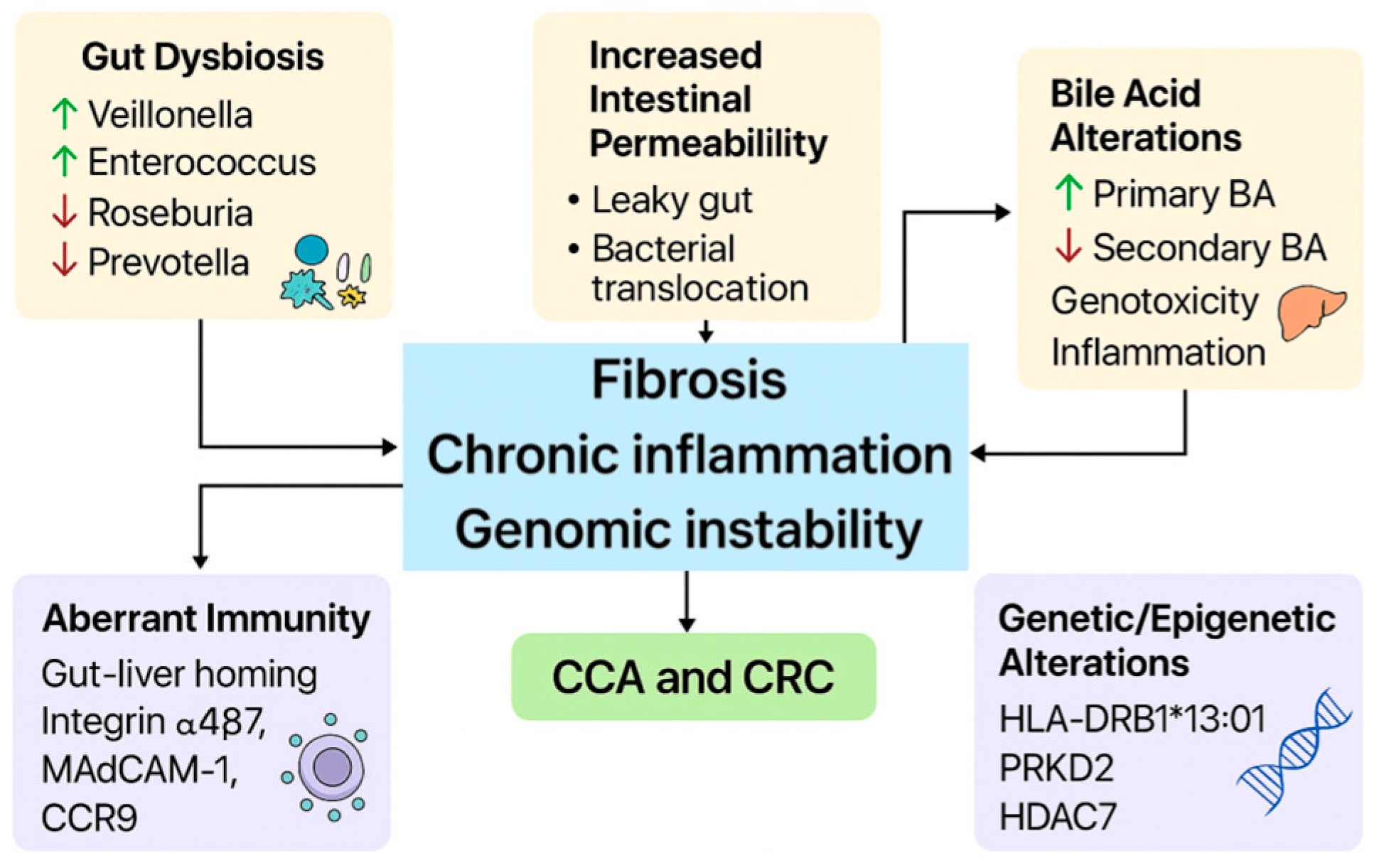 Cancers 17 02165 g001