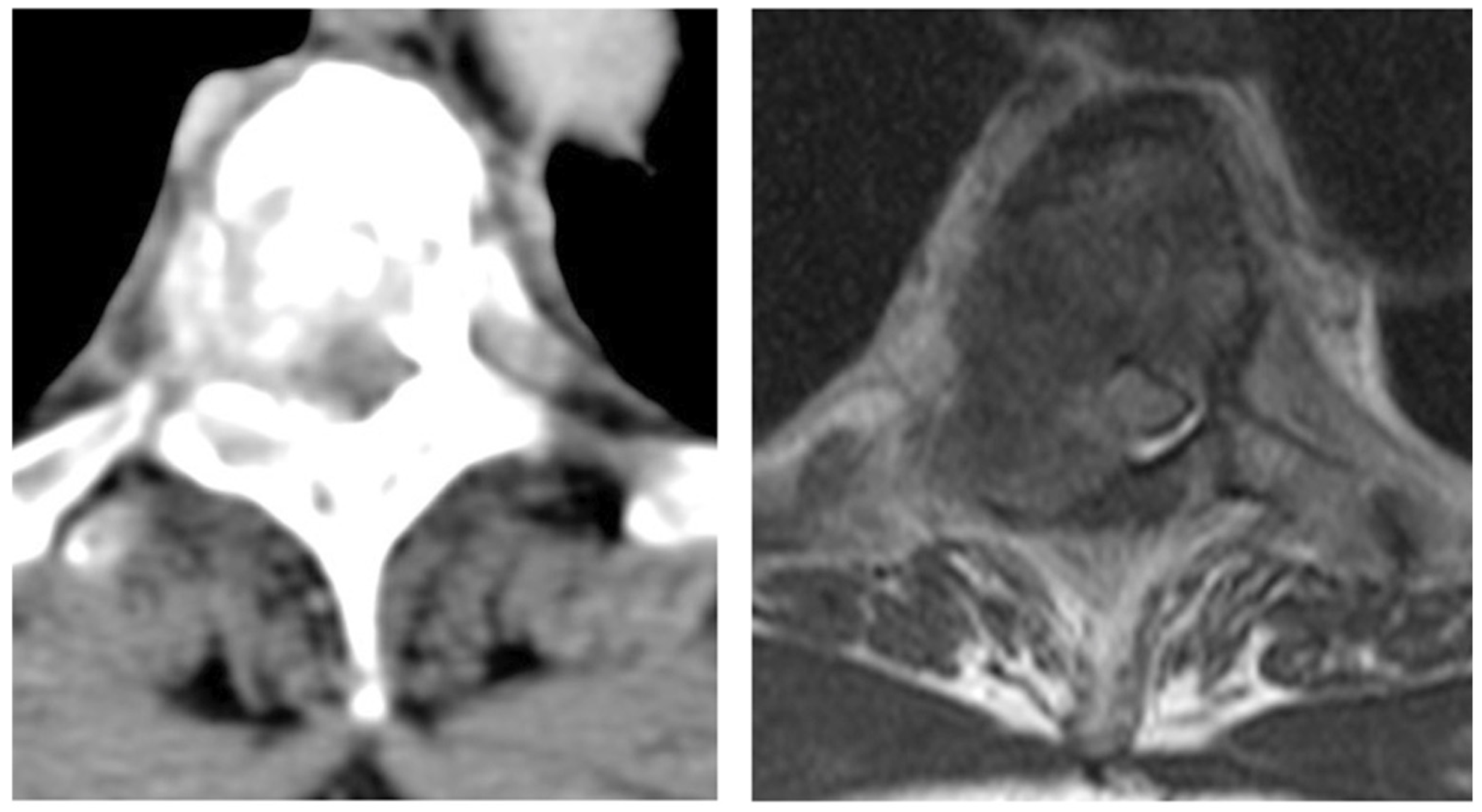 Cancers 17 02180 g001