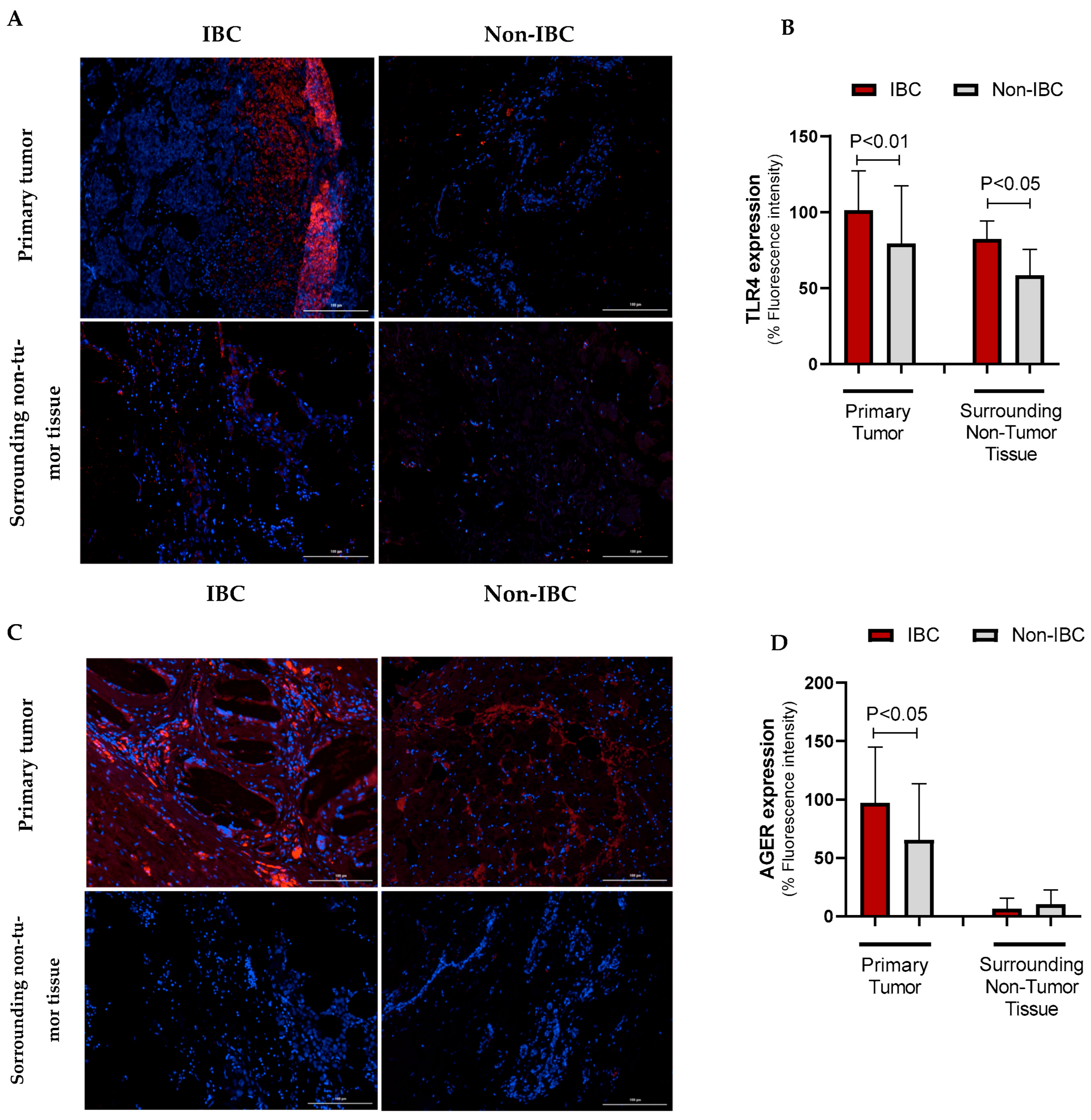 Cancers 17 02182 g003