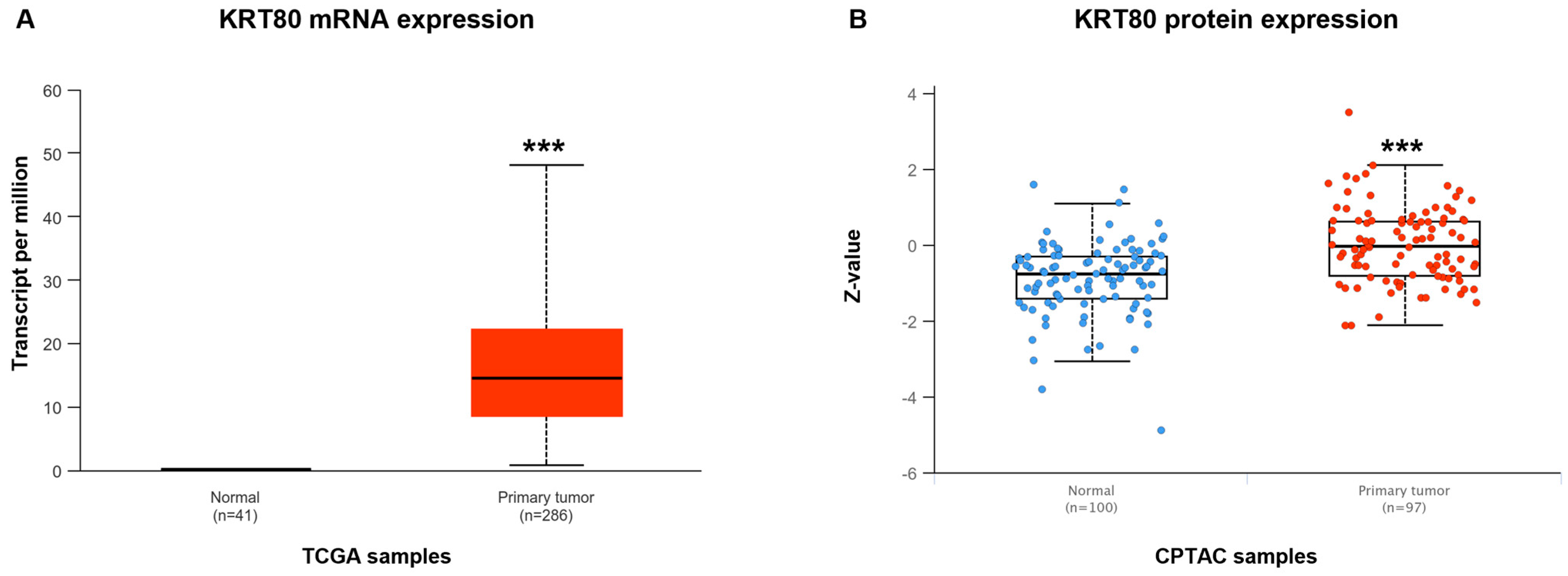 Cancers 17 02183 g001