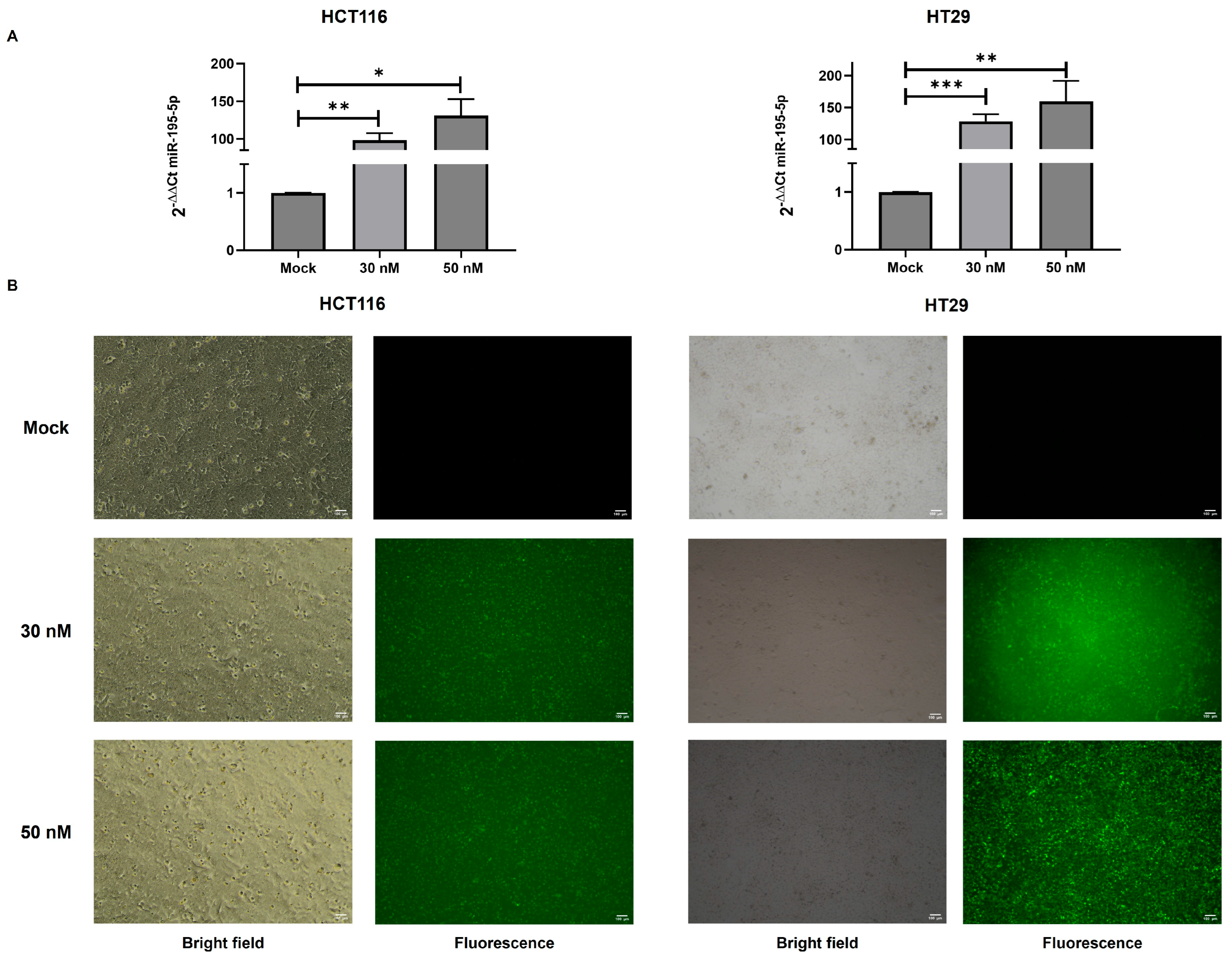 Cancers 17 02183 g003