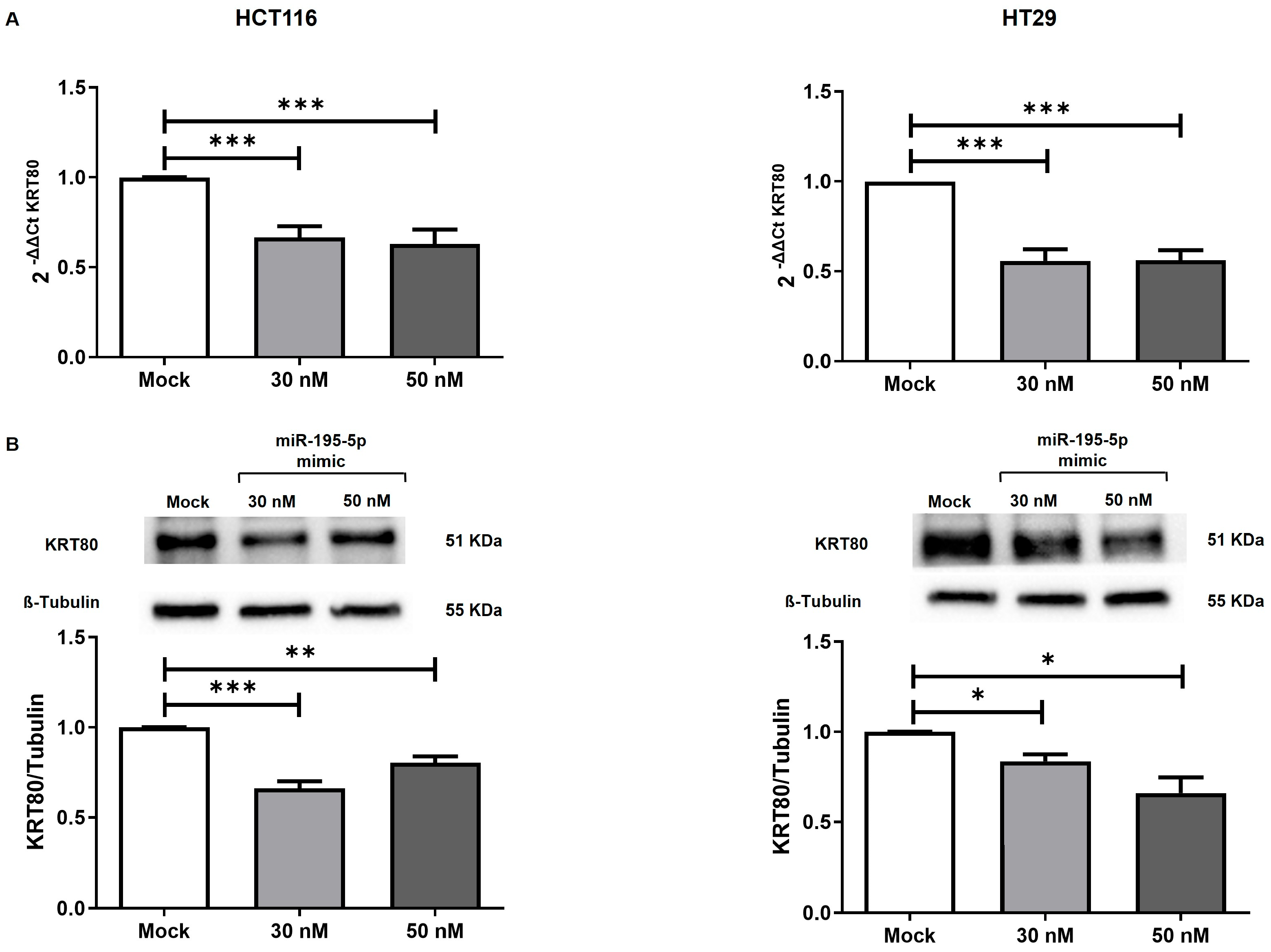Cancers 17 02183 g004