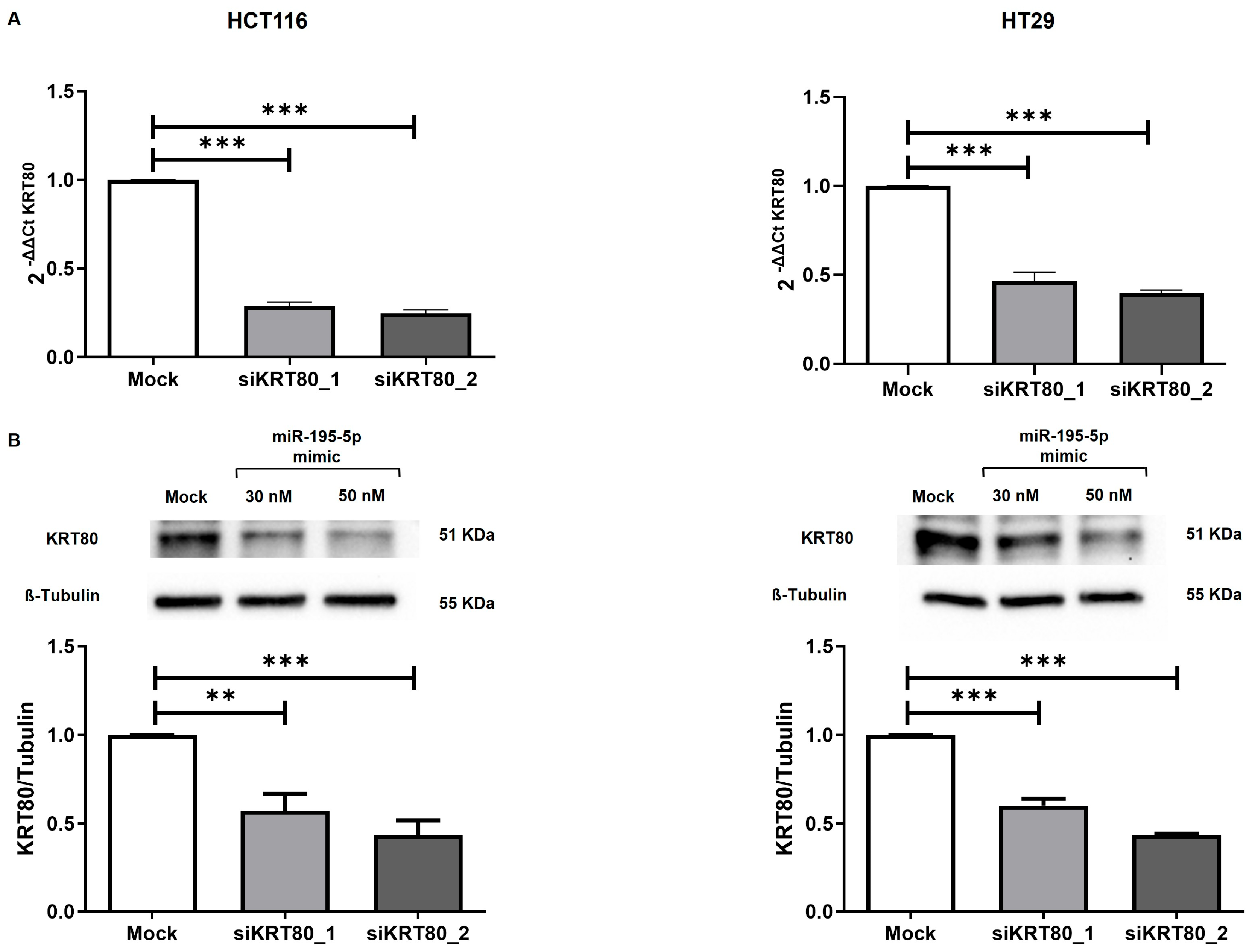 Cancers 17 02183 g007