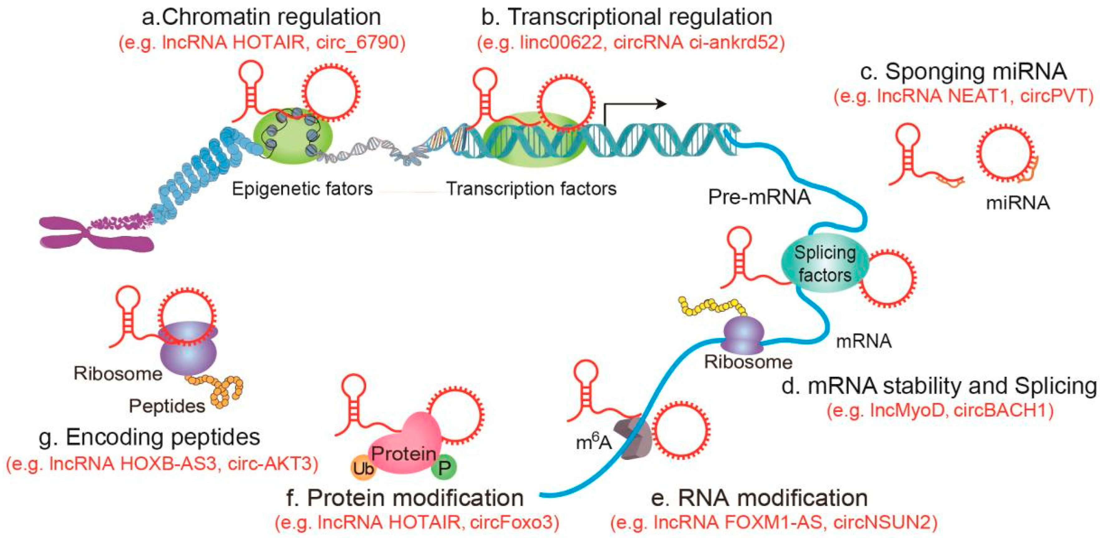 Cancers 17 02186 g002