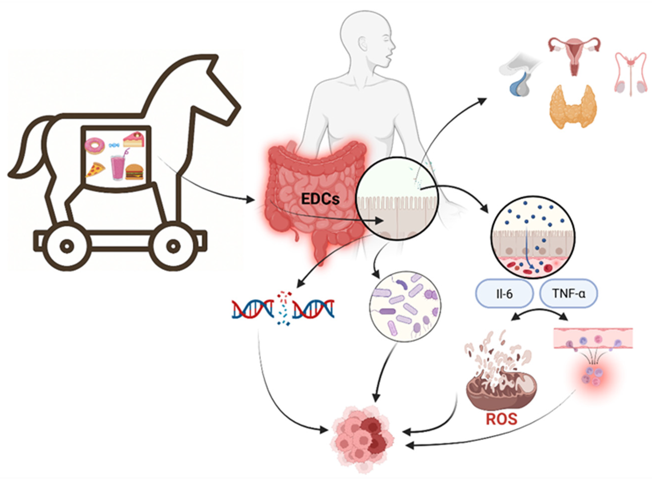 Cancers 17 02196 g005