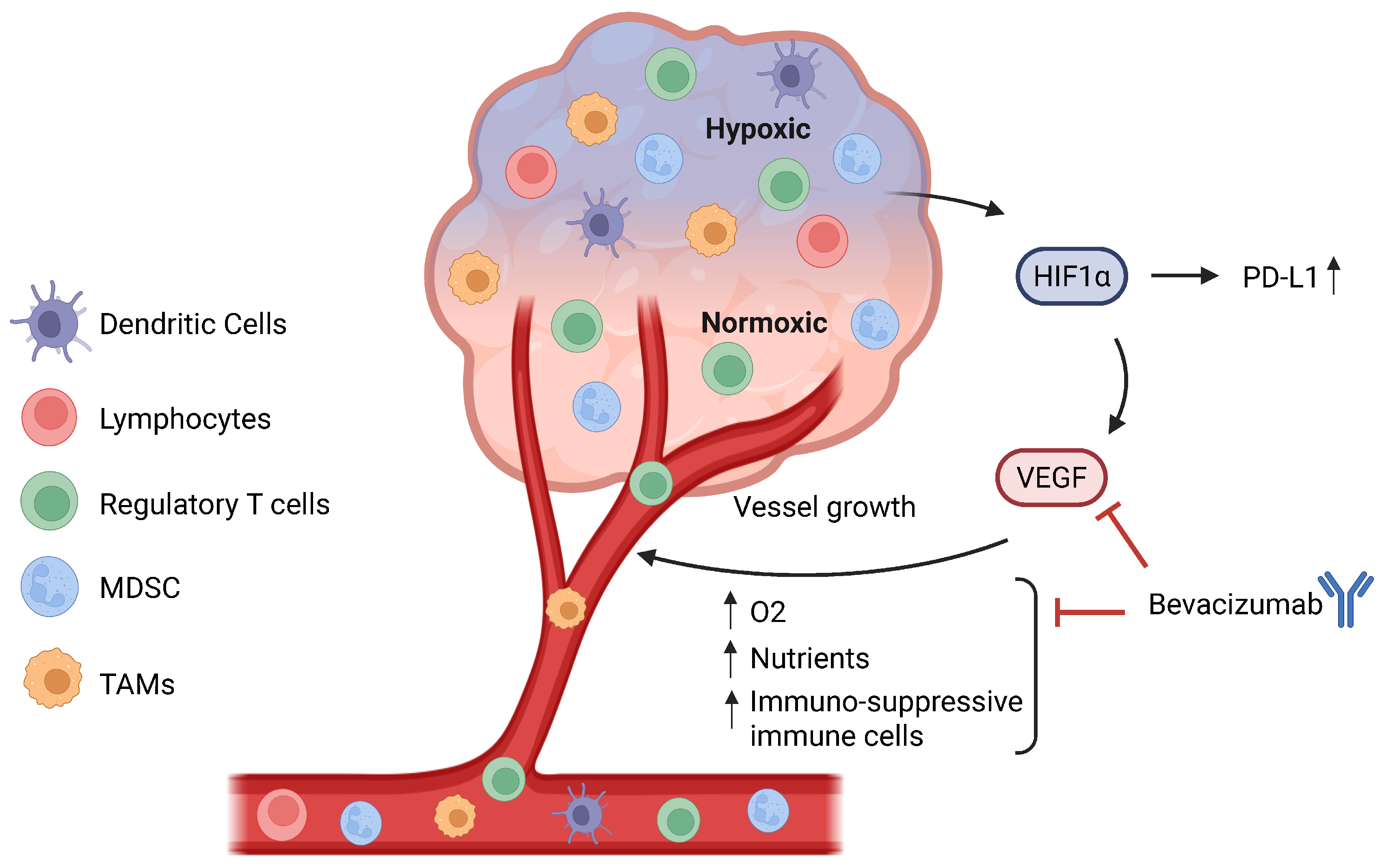 Cancers 17 02199 g003