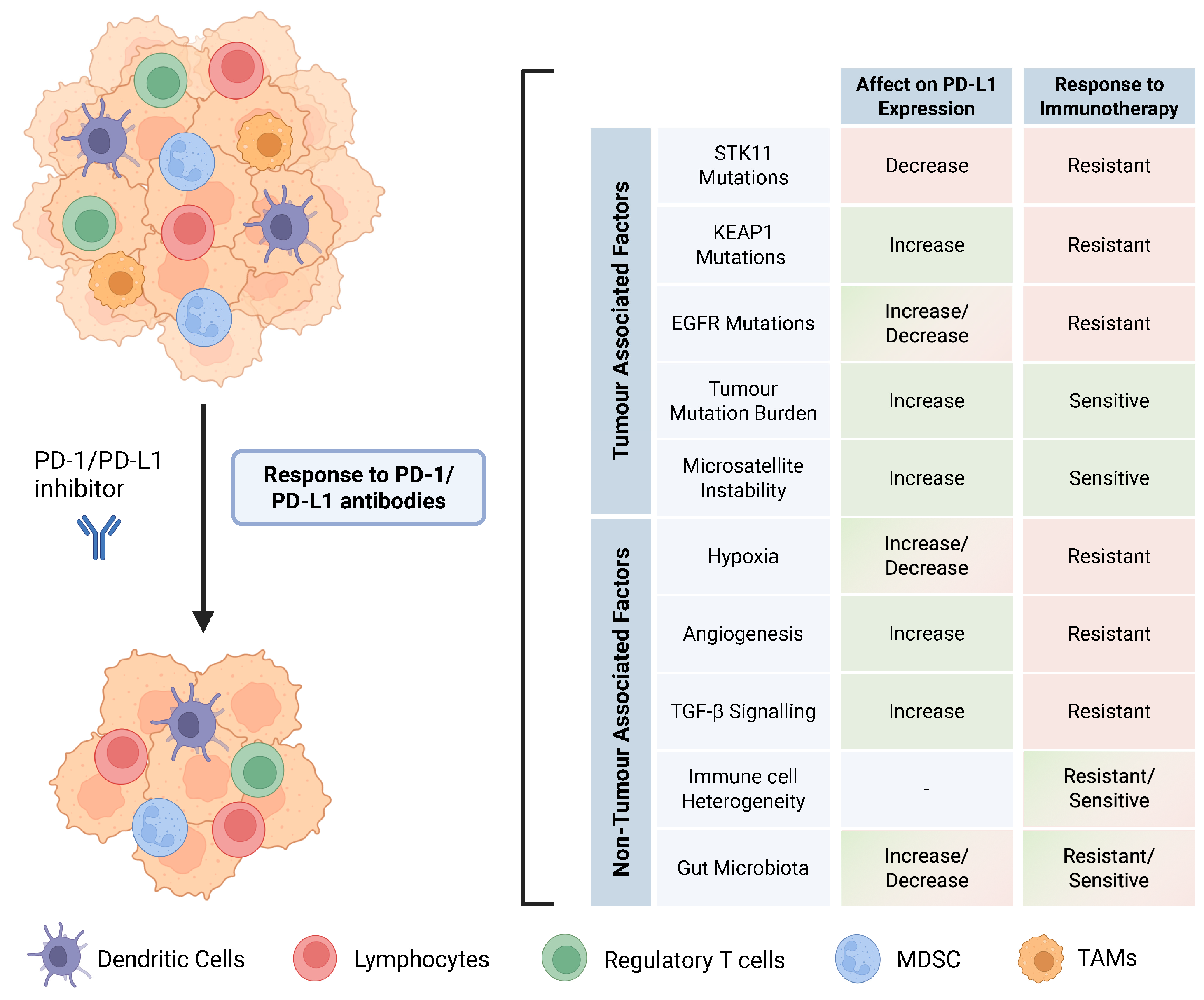 Cancers 17 02199 g004