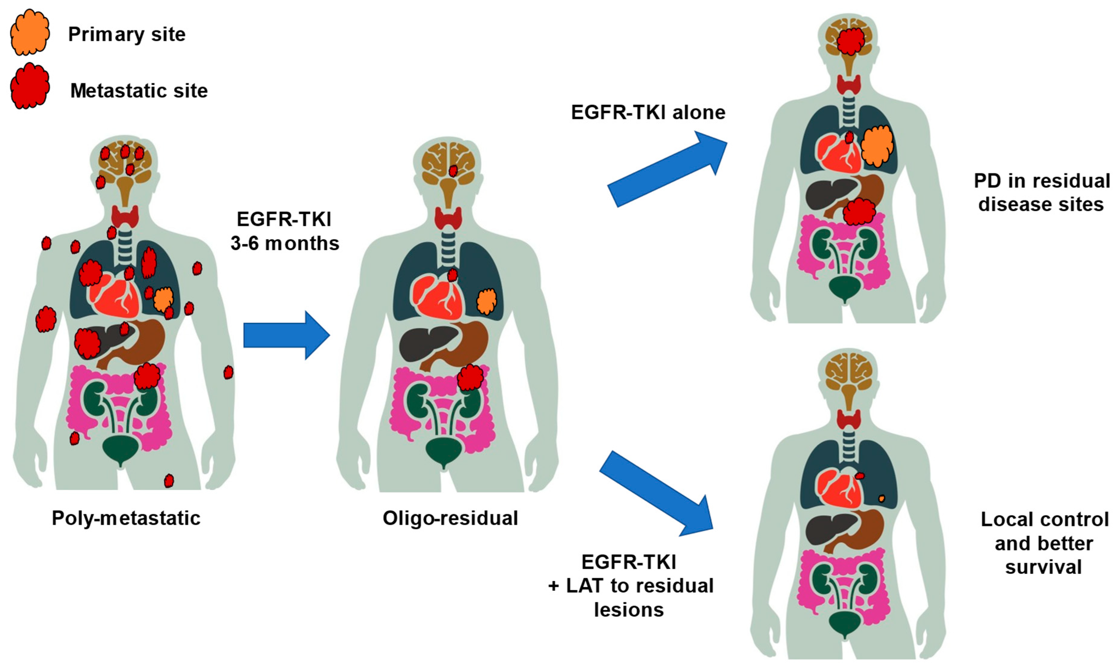 Cancers 17 02202 g002