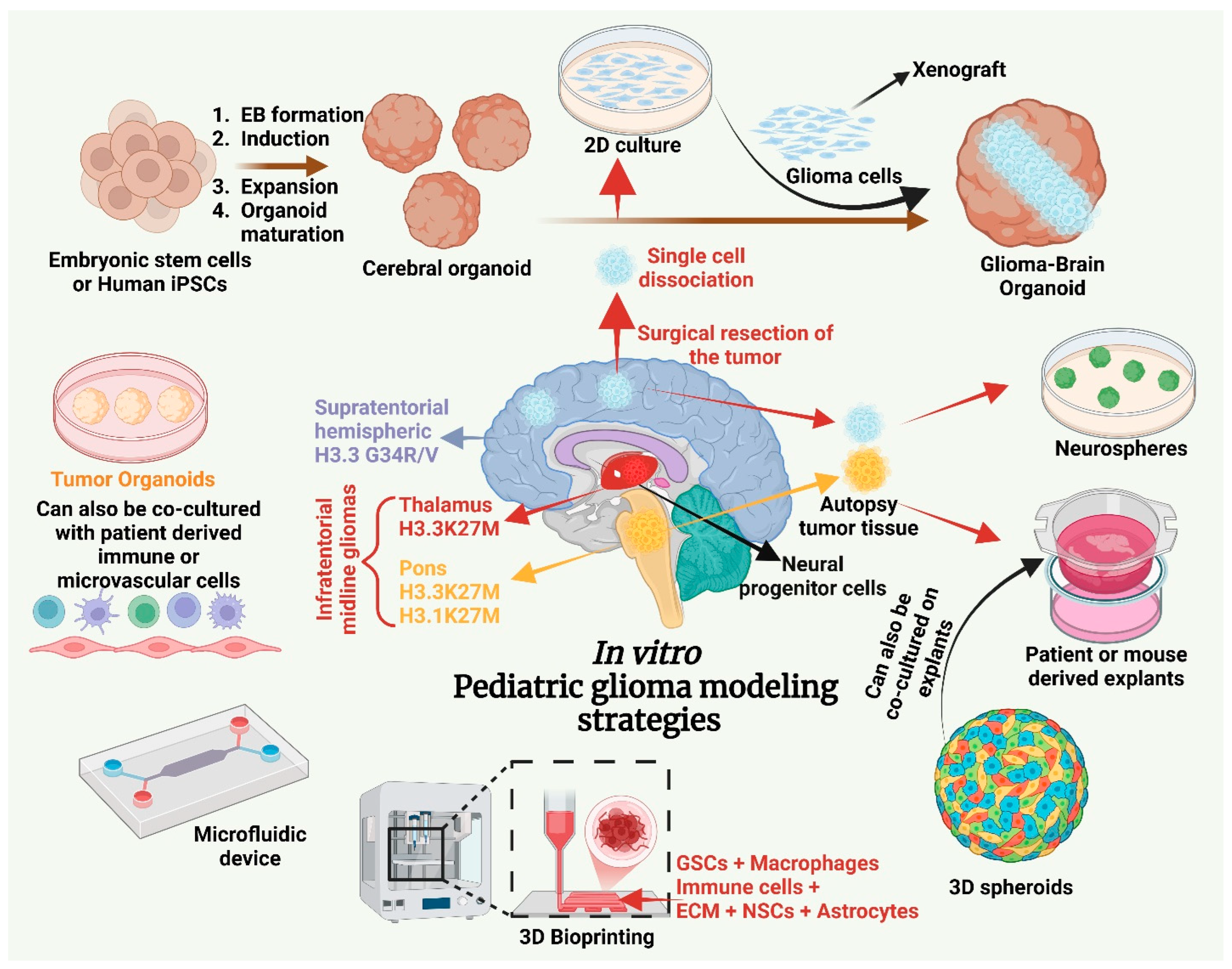 Cancers 17 02221 g002