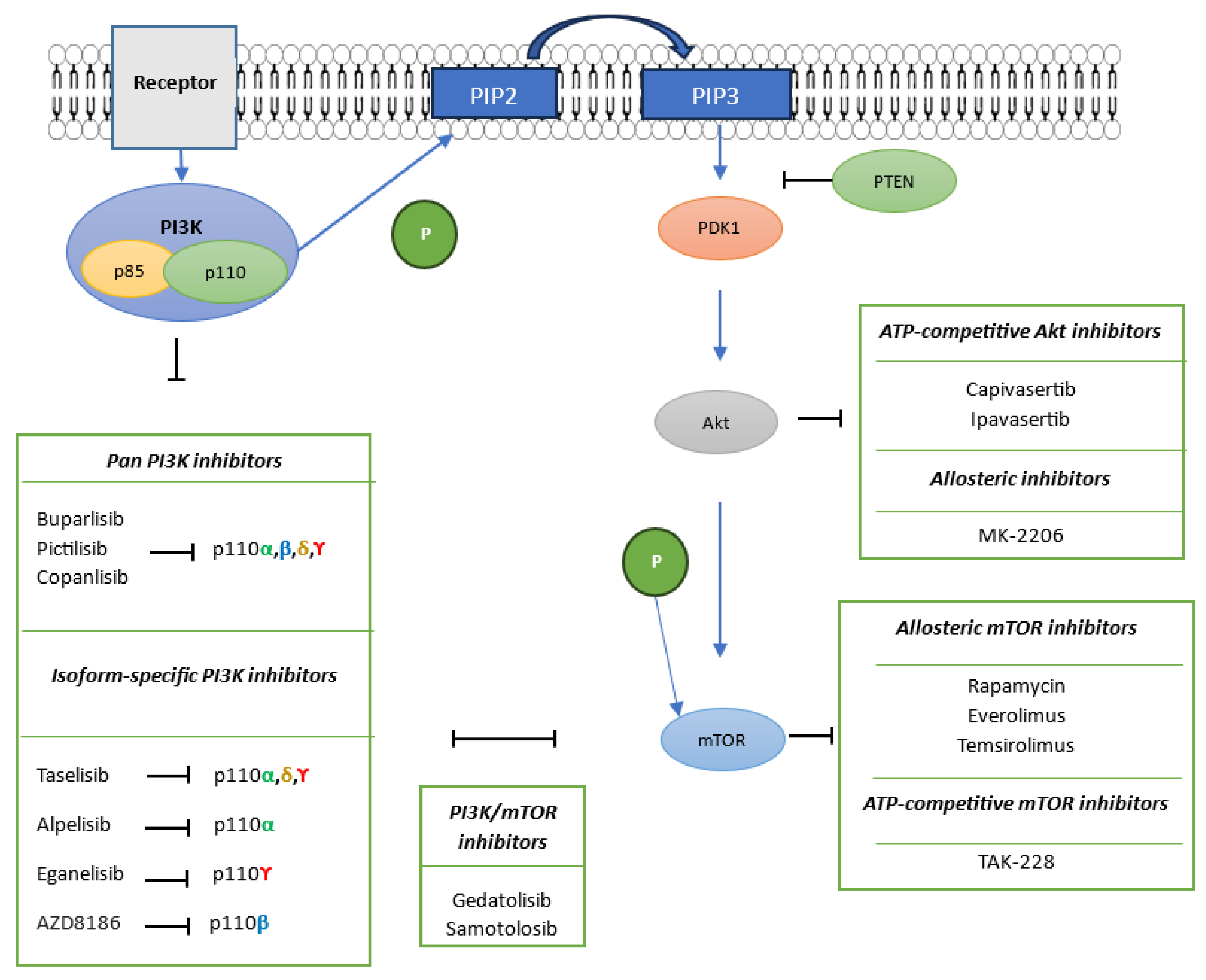 Cancers 17 02232 g001