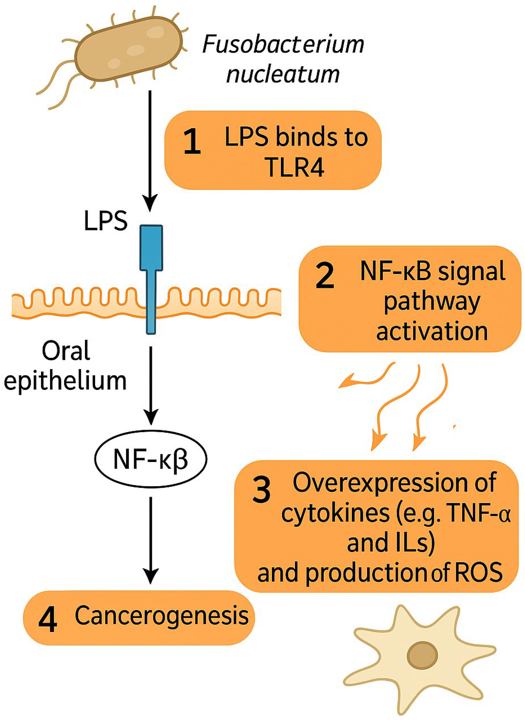 Cancers 17 02238 g001