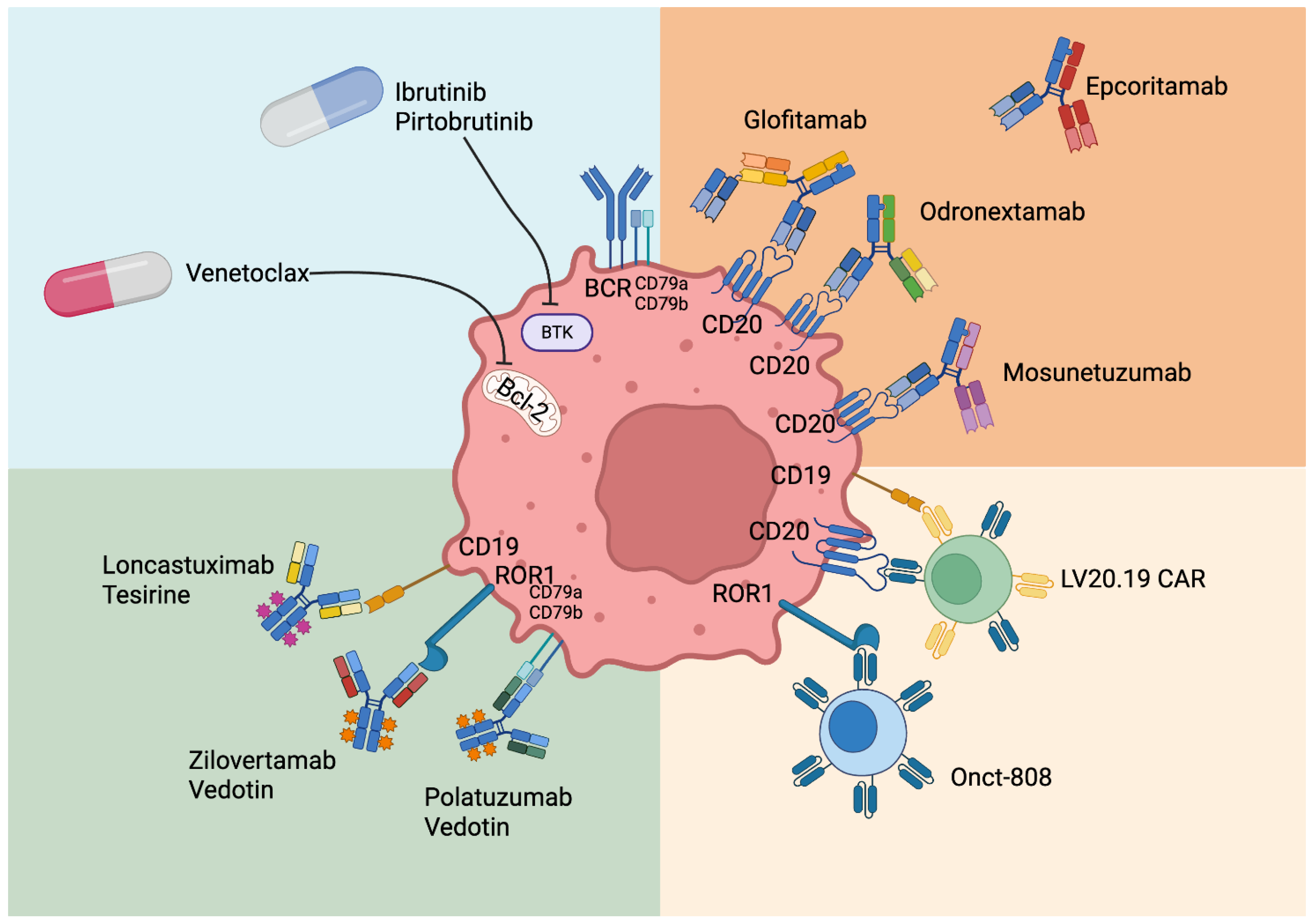 Cancers 17 02239 g001