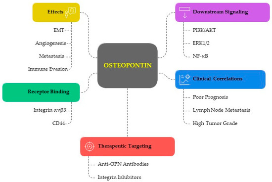 Cancers 17 02245 g002
